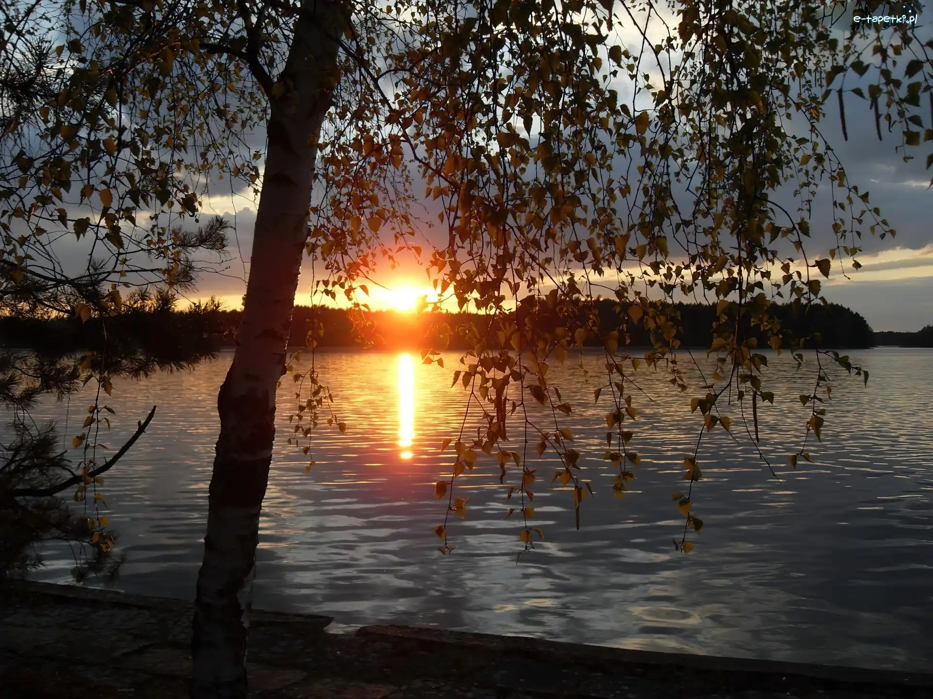 Zachód, Drzewo, Słońca, Jezioro