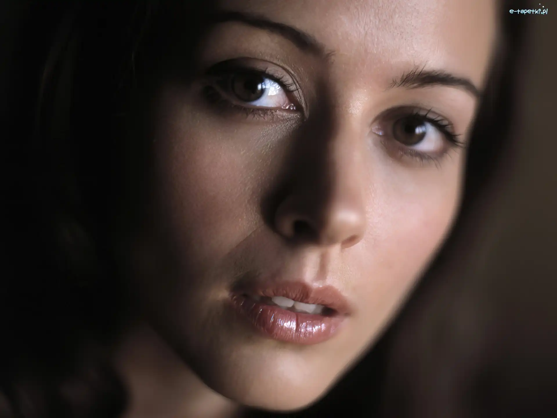 Portret, Aktorka, Amy Acker