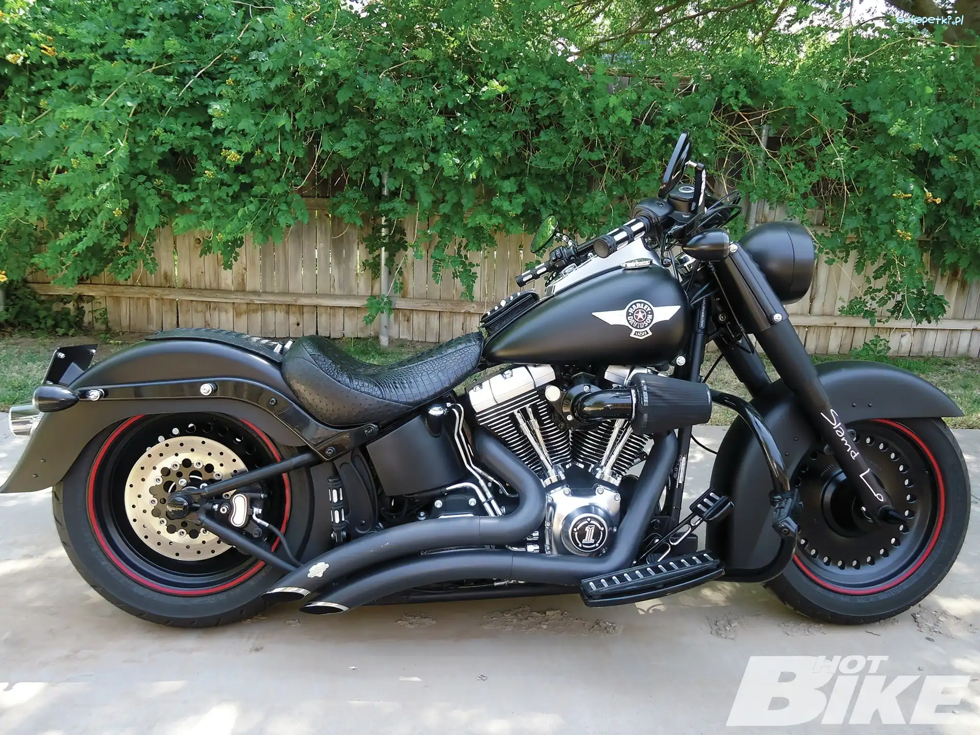 Cruiser, Davidson, Harley