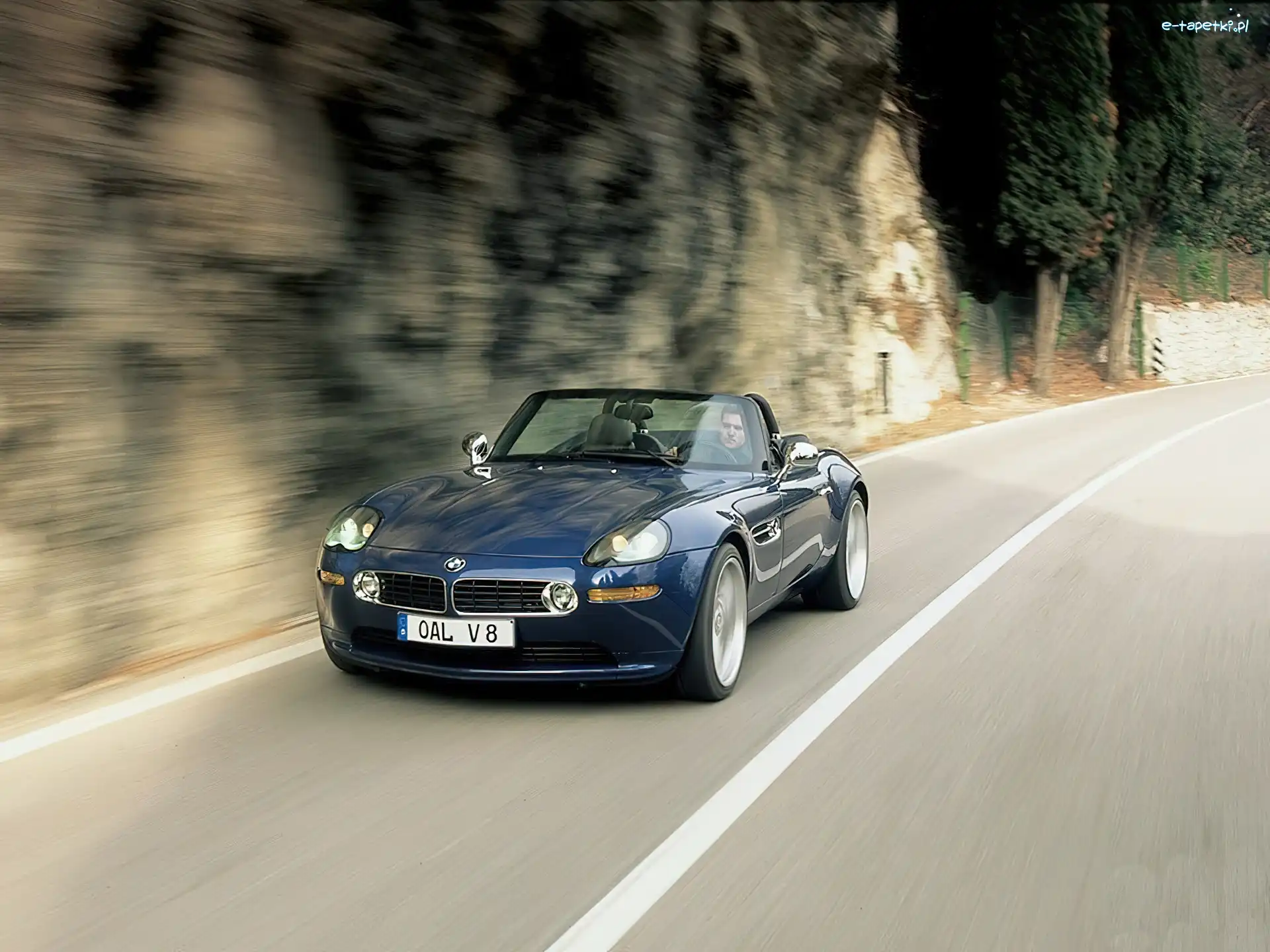 BMW Z8, Alpina