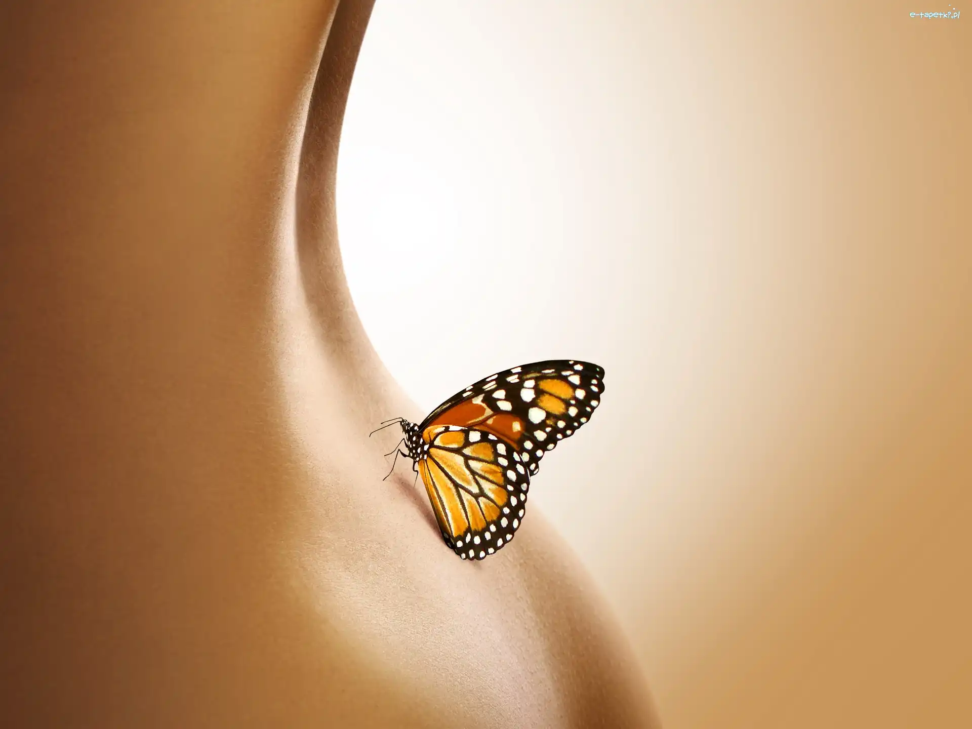 Kobiety, Ciało, Motyl