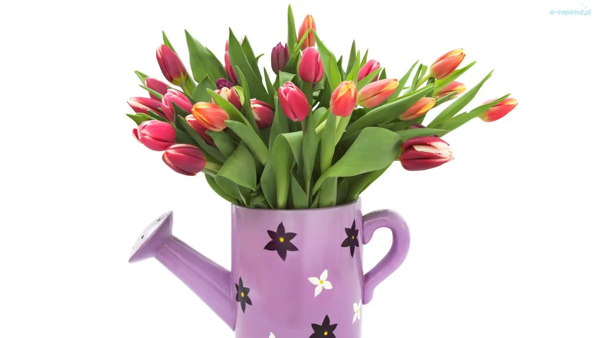 Tulipany, Bukiet, Konewka
