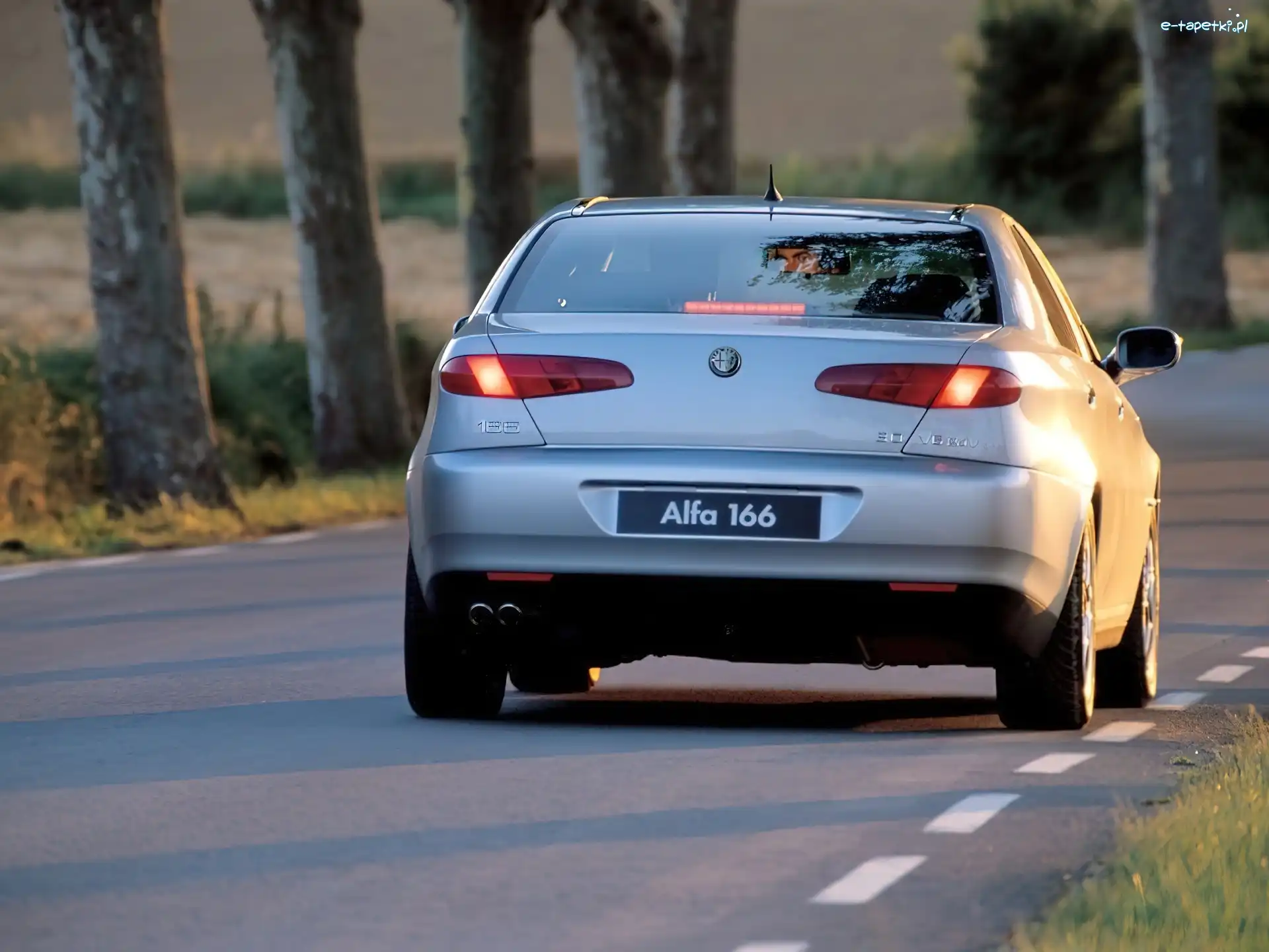 Ulica, Drzewa, Alfa Romeo 166