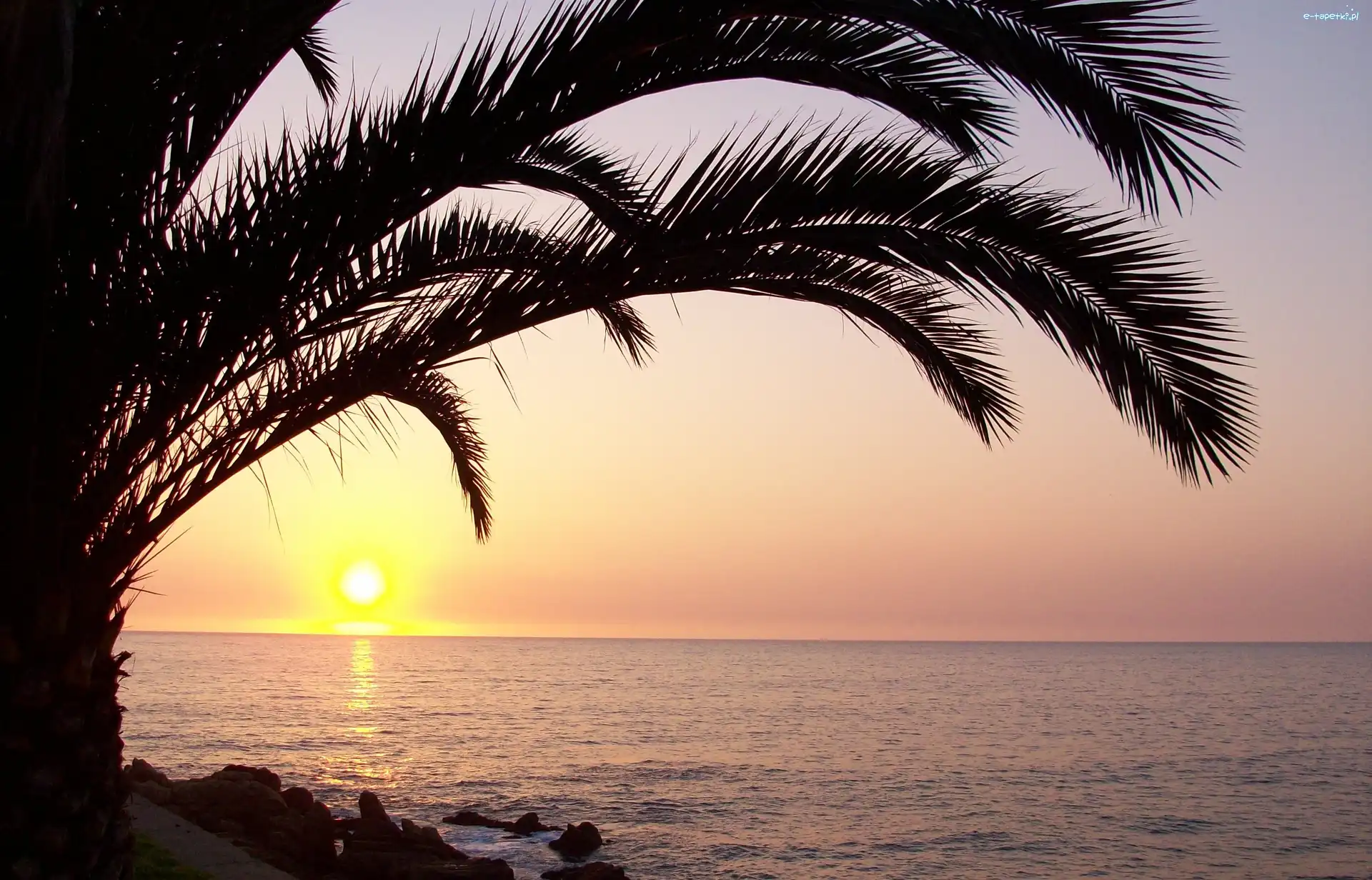 Słońca, Palma, Ocean, Zachod