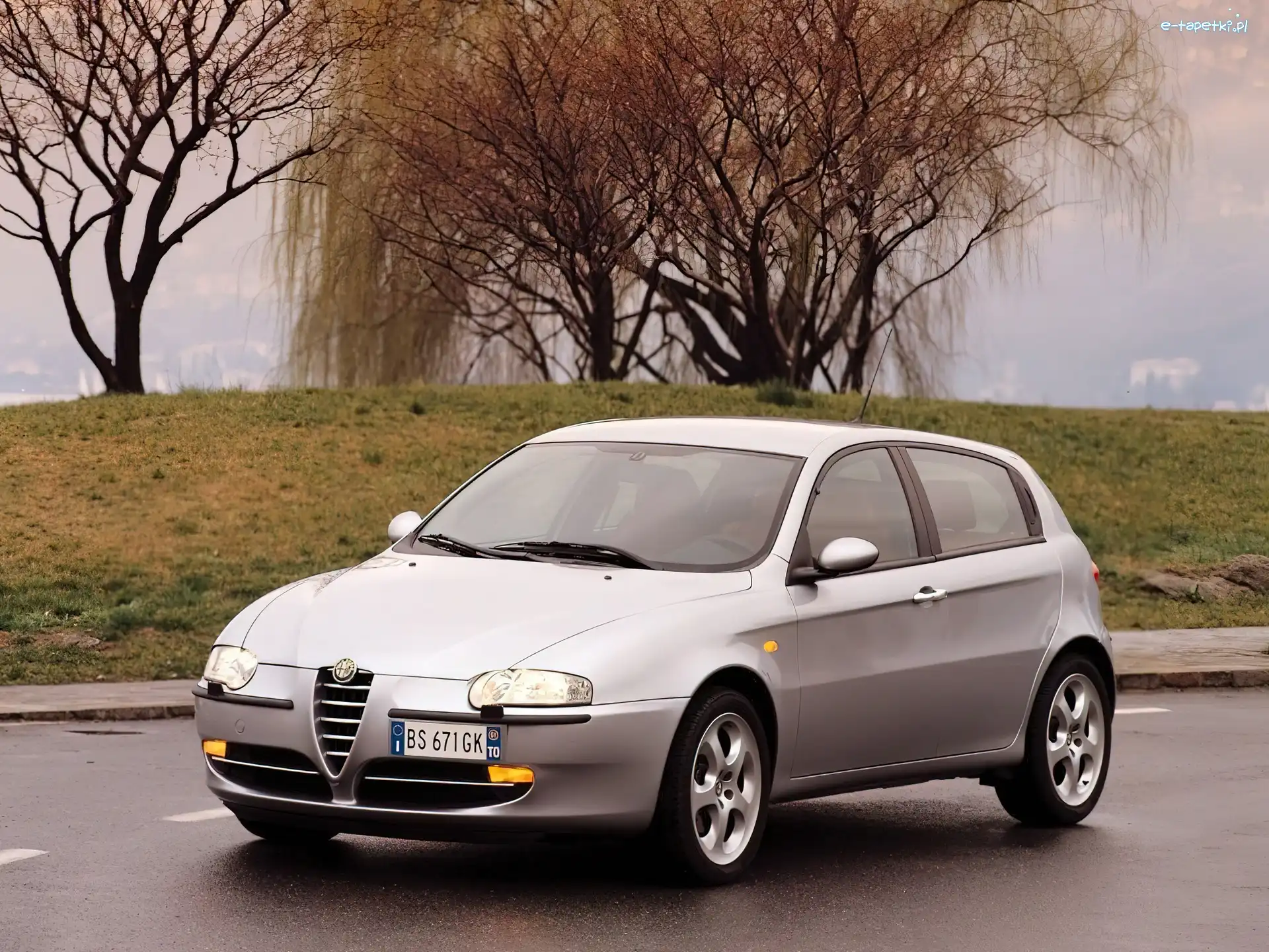 Wierzba, Alfa Romeo 147