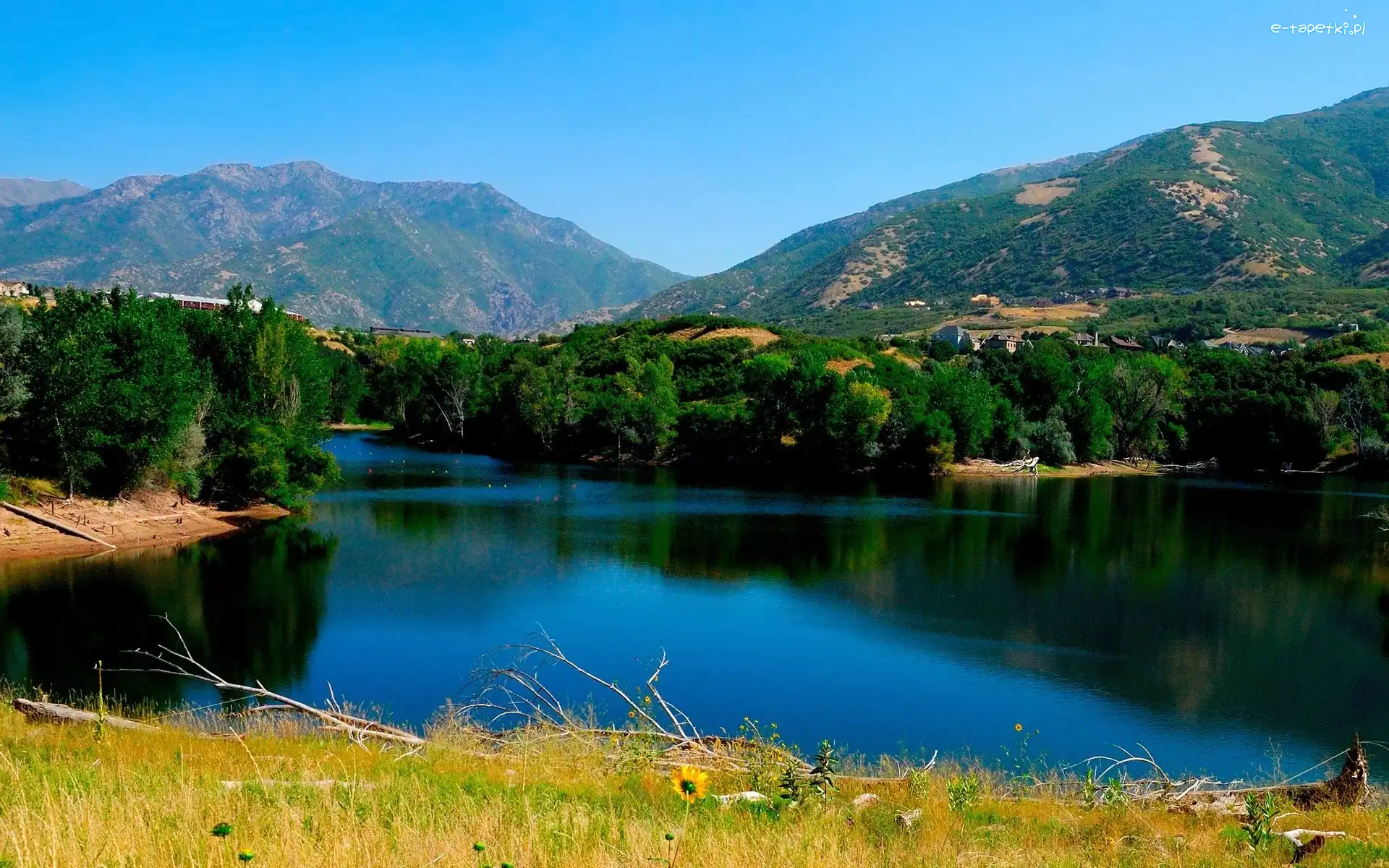 Las, Jezioro, Góry