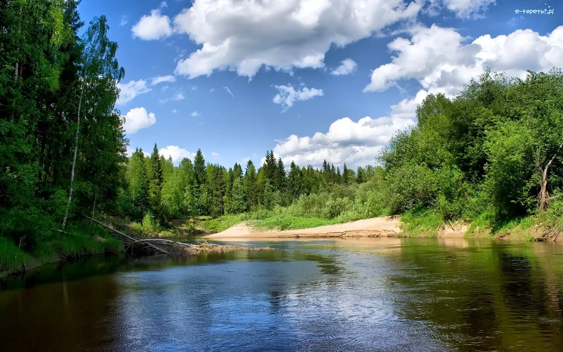 Drzewa, Pogoda, Słoneczna, Jezioro