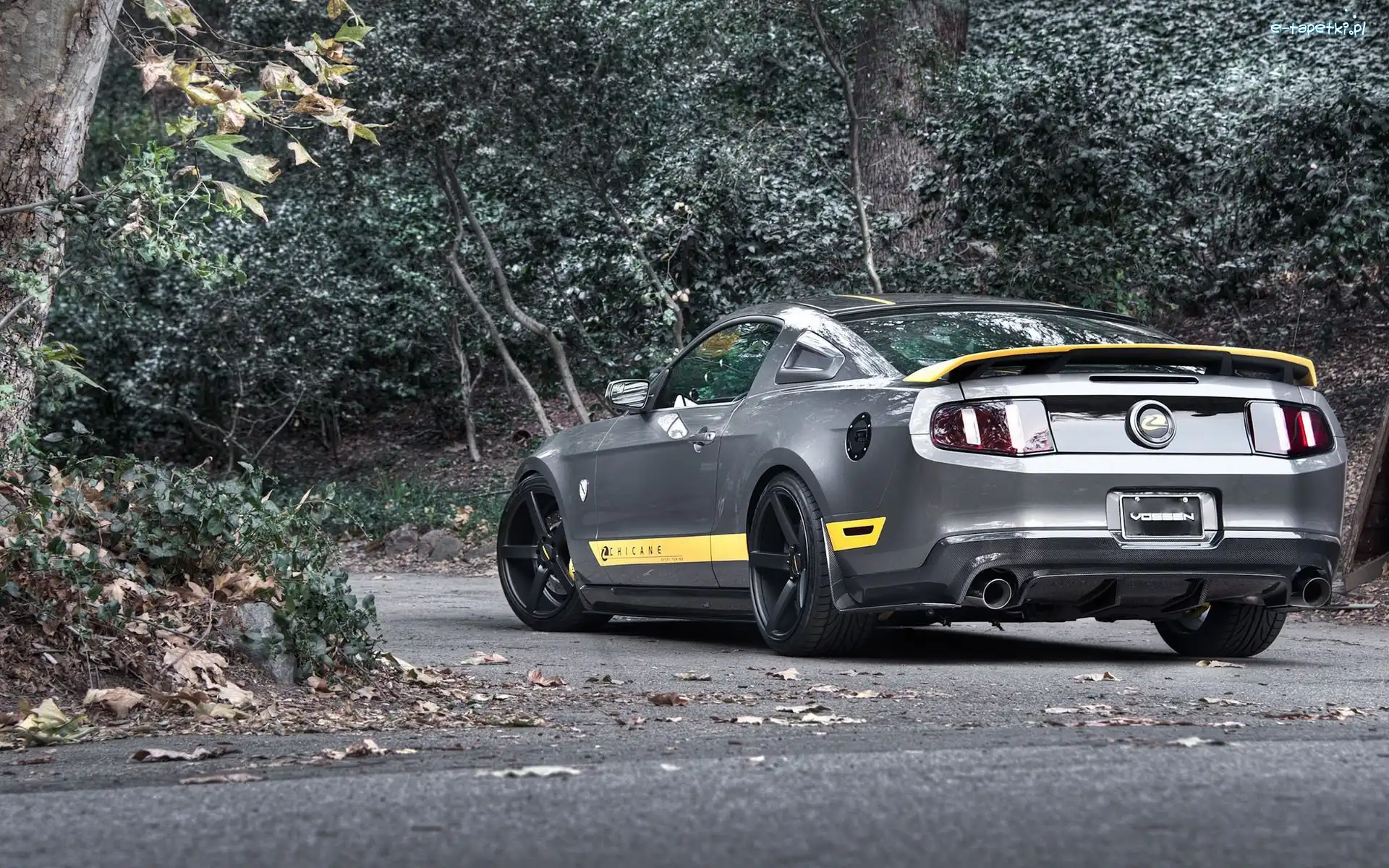 Mustang, Chicane, Tuning, Ford