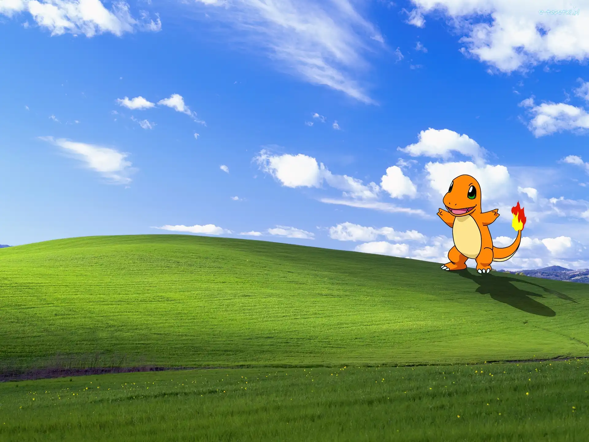 Pokemon, XP, Windows