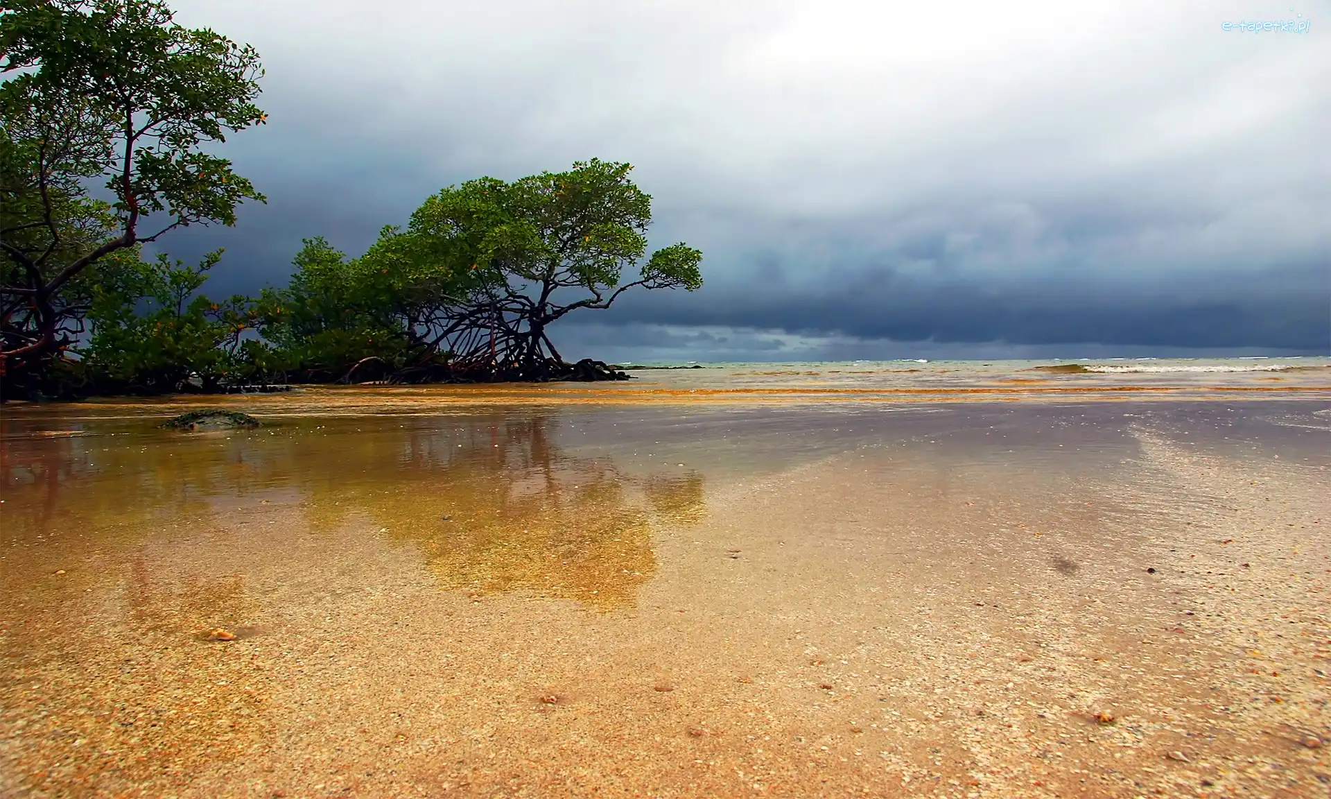 Plaża, Woda, Drzewa