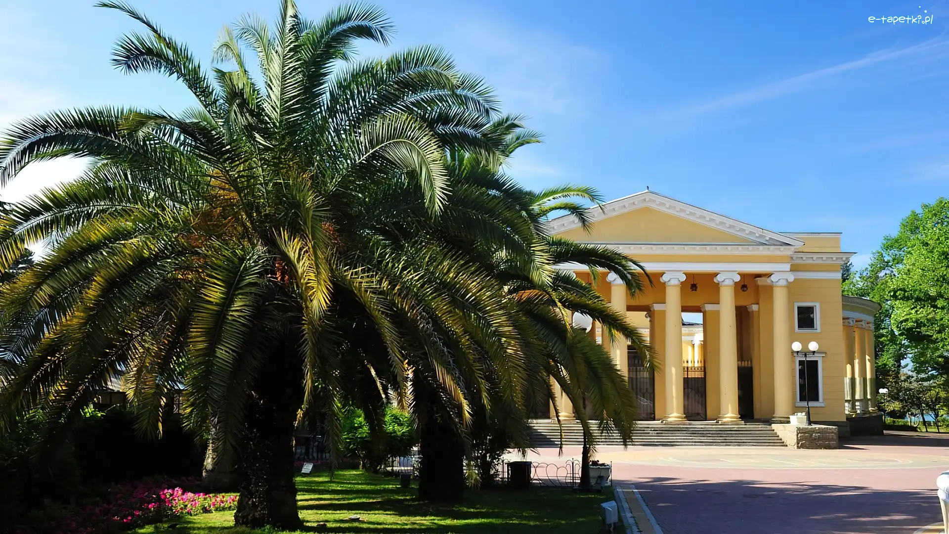 Kolumny, Palma, Pałacyk