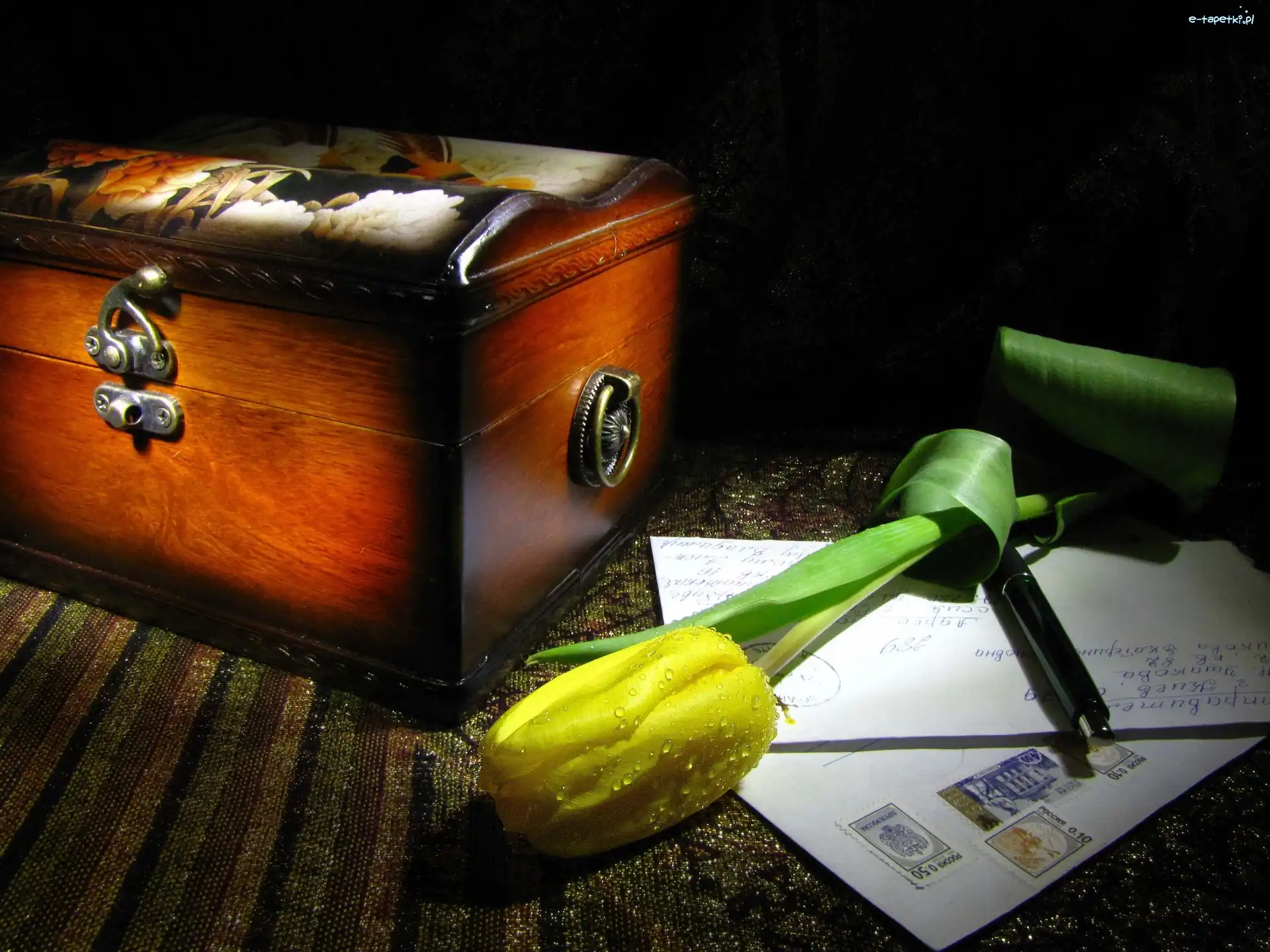 Tulipan, Listy, Kuferek, Żółty