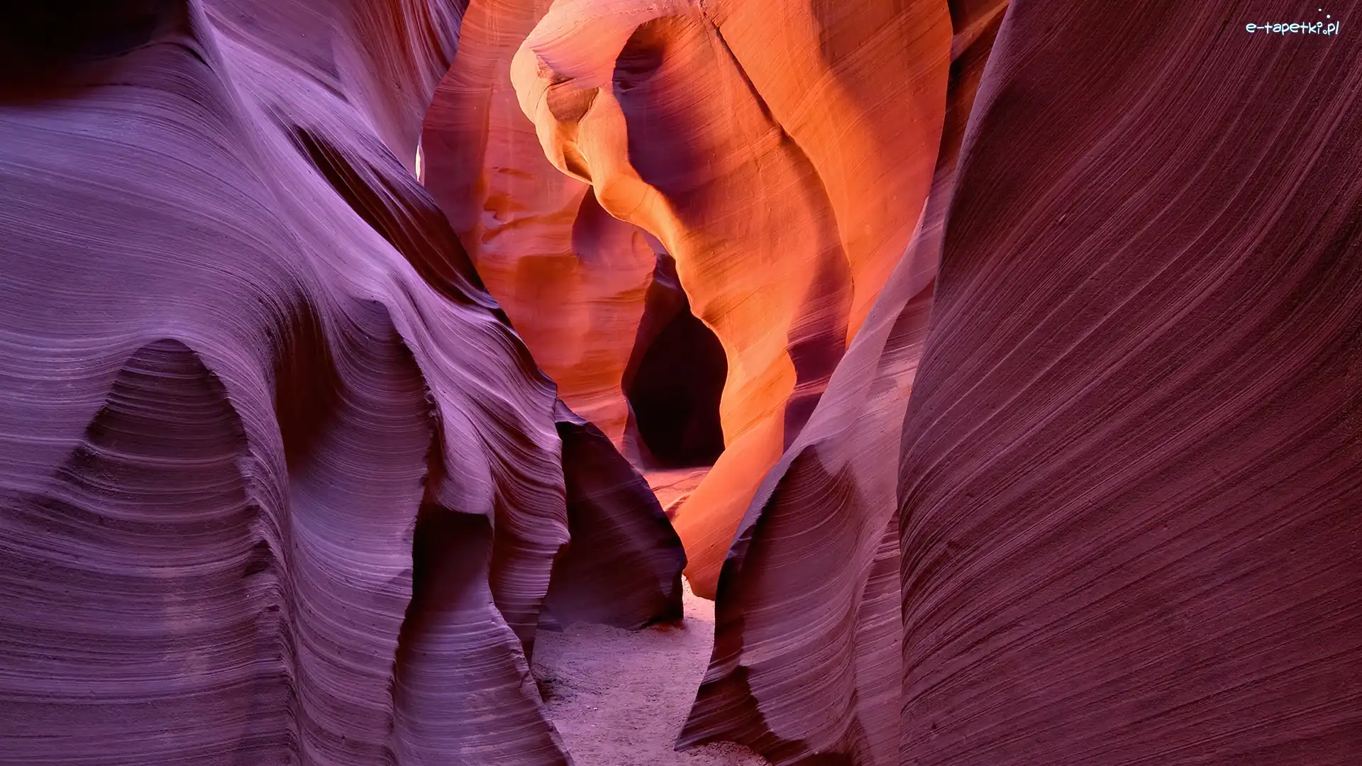 Golden, Kanion, Glow, Arizona, Antylopa
