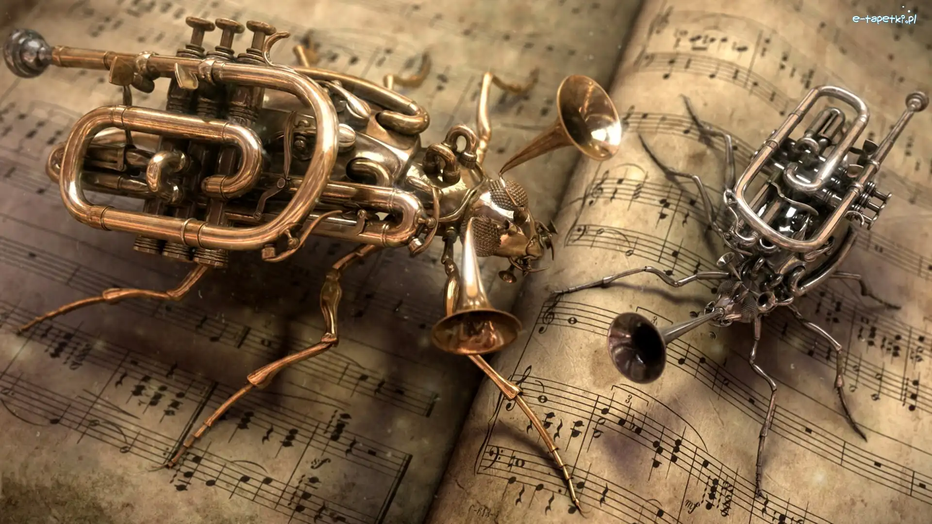 Insekty, Muzyczne, Instrumenty, Nuty