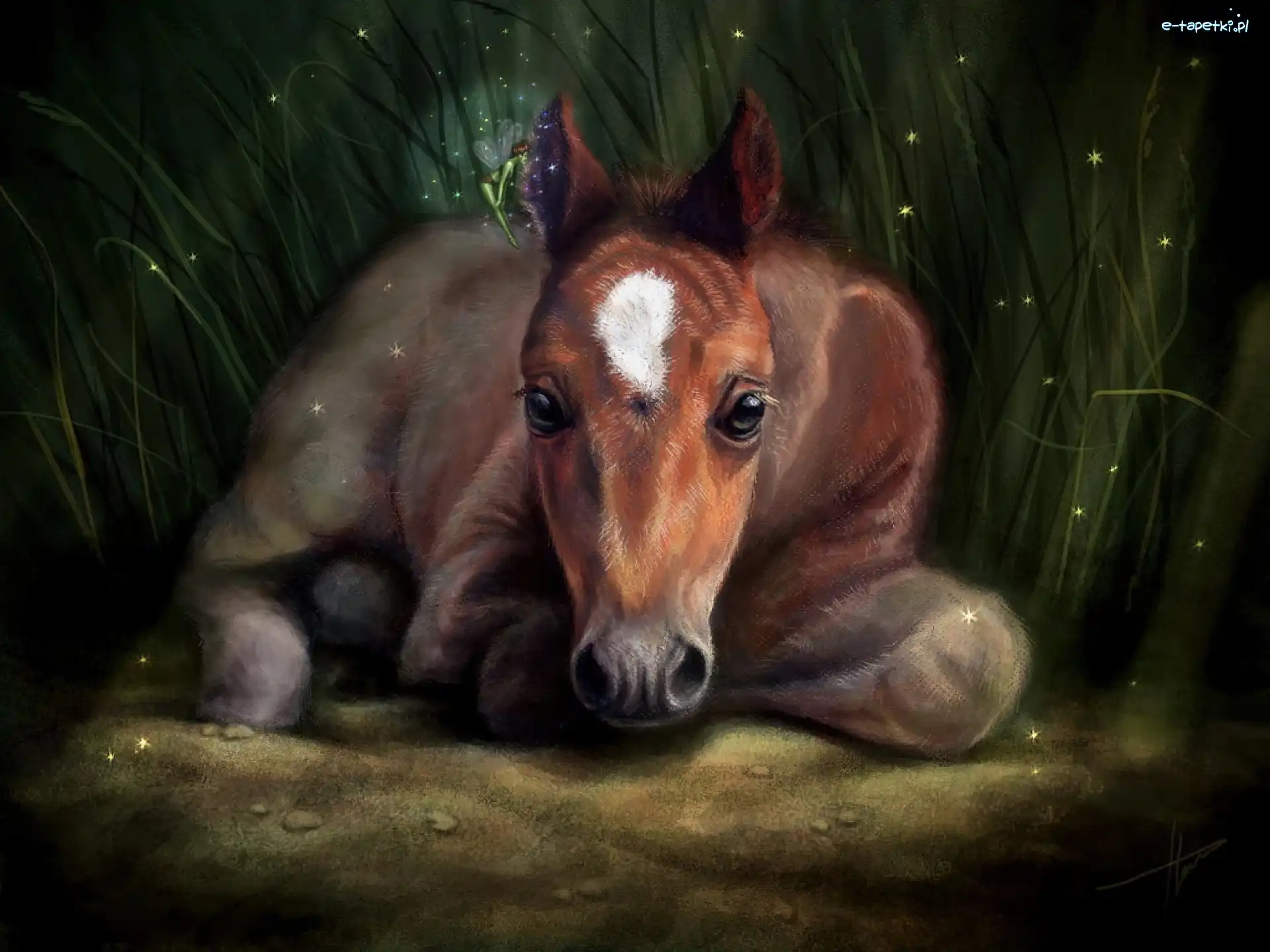 Koń, Magia, Trawa, Fantasy, Art