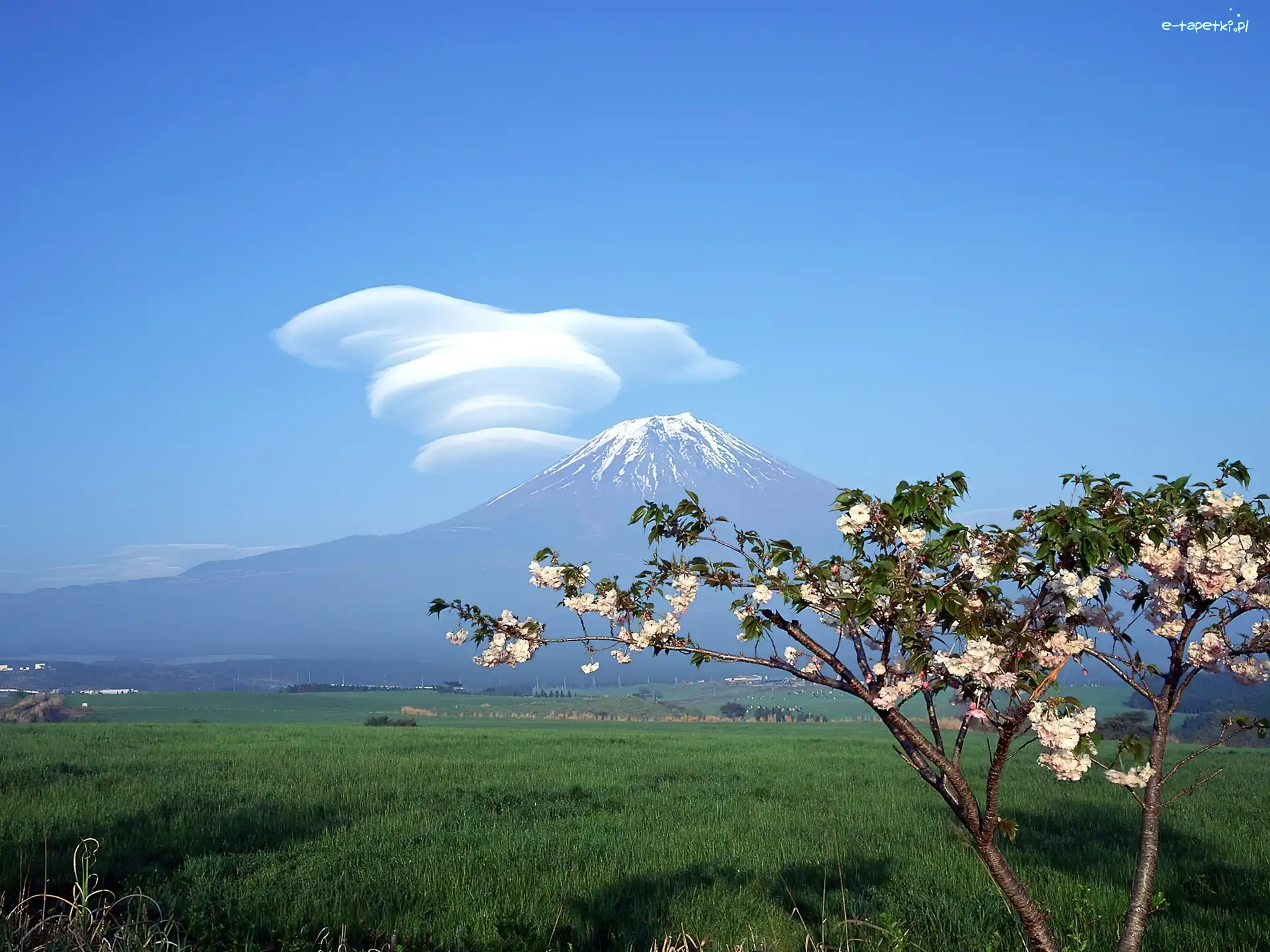 Fuji, Chmura, Fantazyjna, Góra