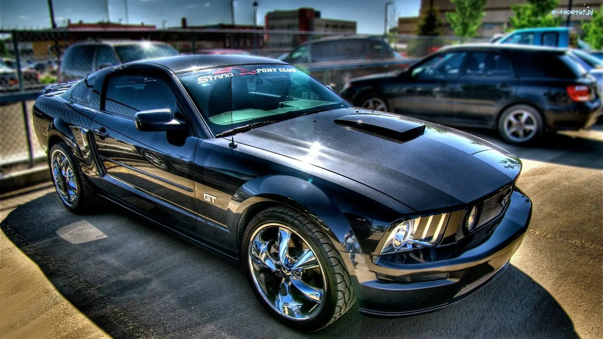 Chrom, Ford Mustang GT 500