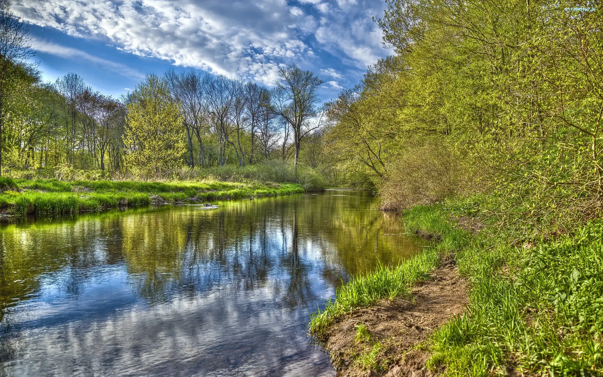 Brzegi, Drzewa, Rzeka, Odbicie, Chmury
