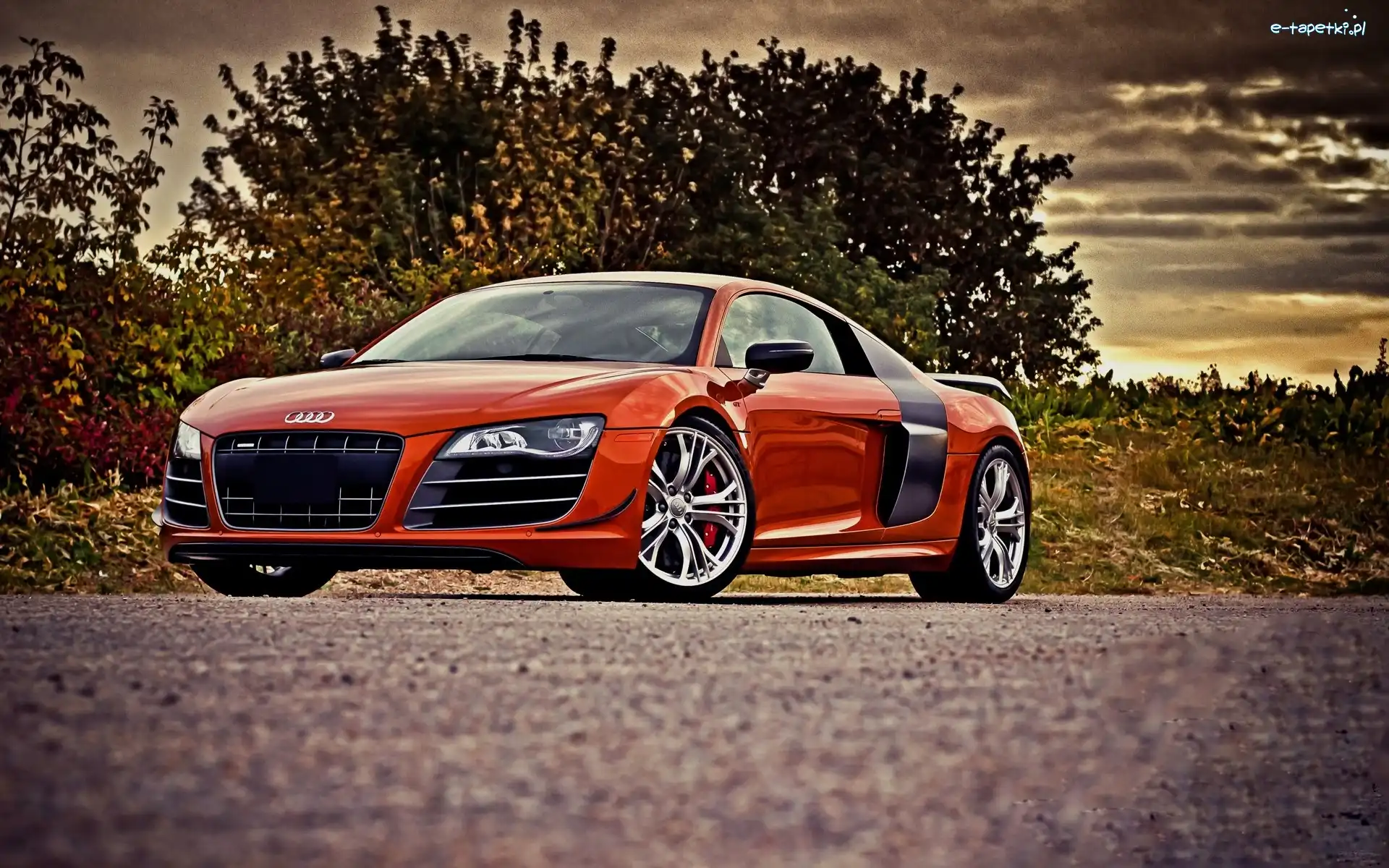 Audi R8, Czerwone