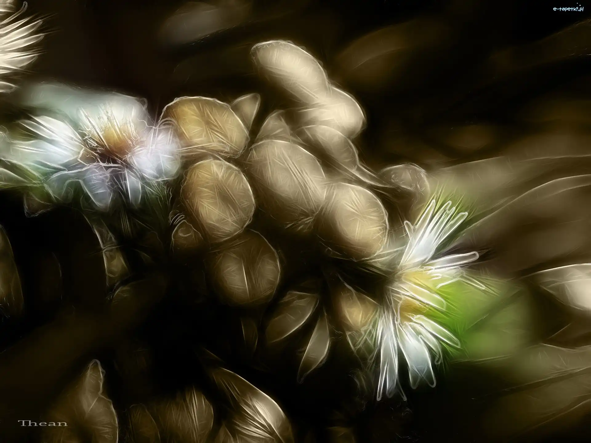 Fractalius, Polne, Kwiaty
