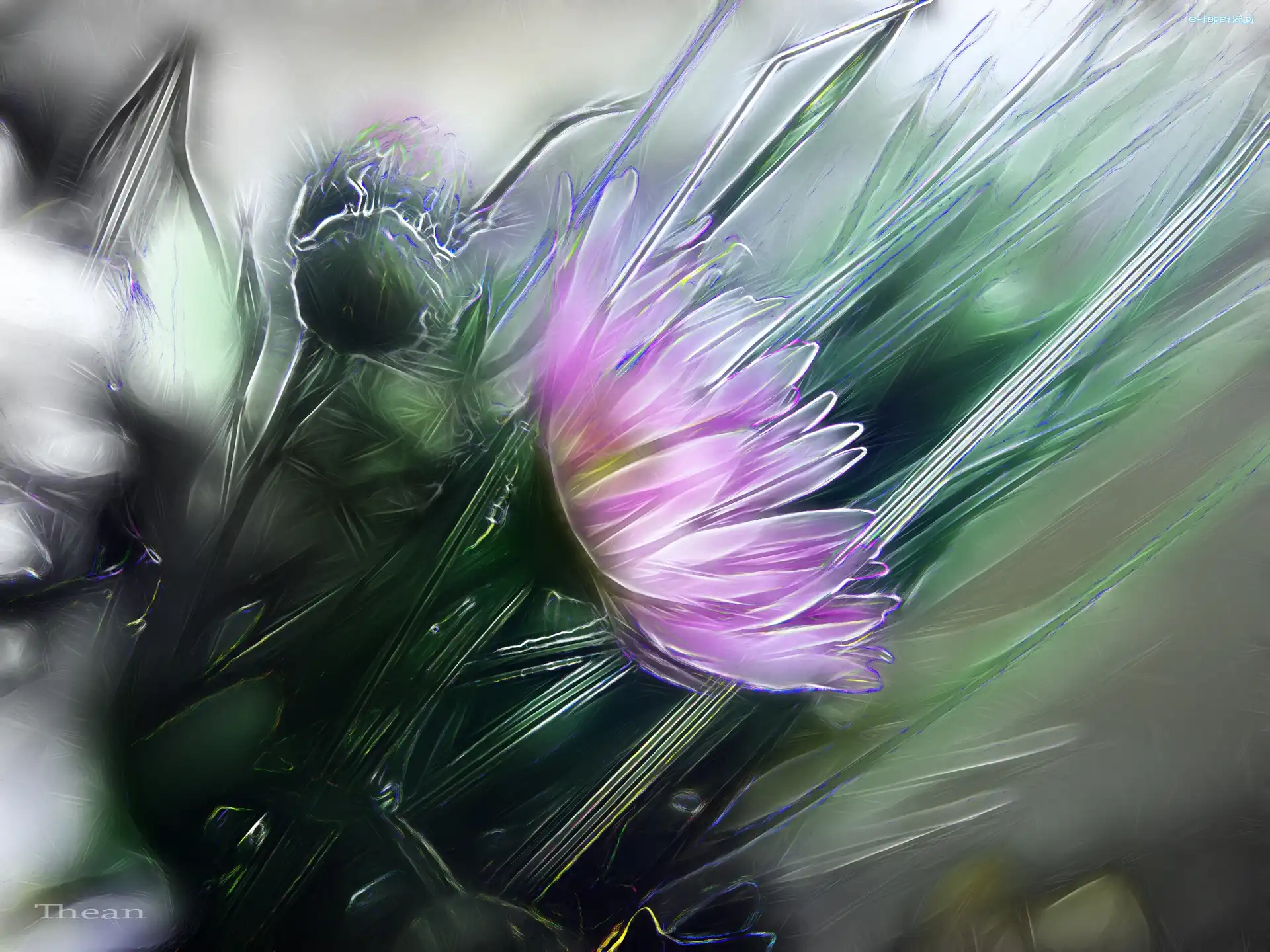 Fractalius, Polne, Kwiaty