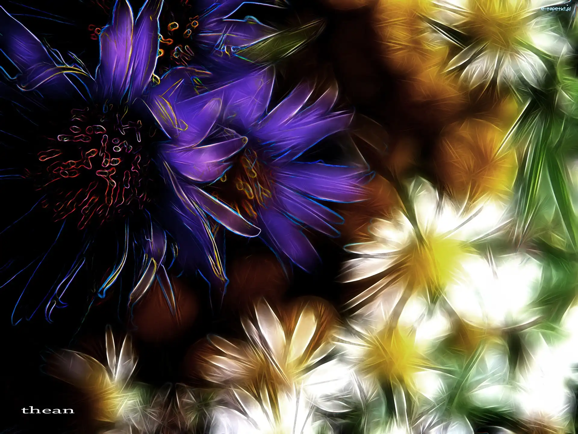 Fractalius, Polne, Kwiaty