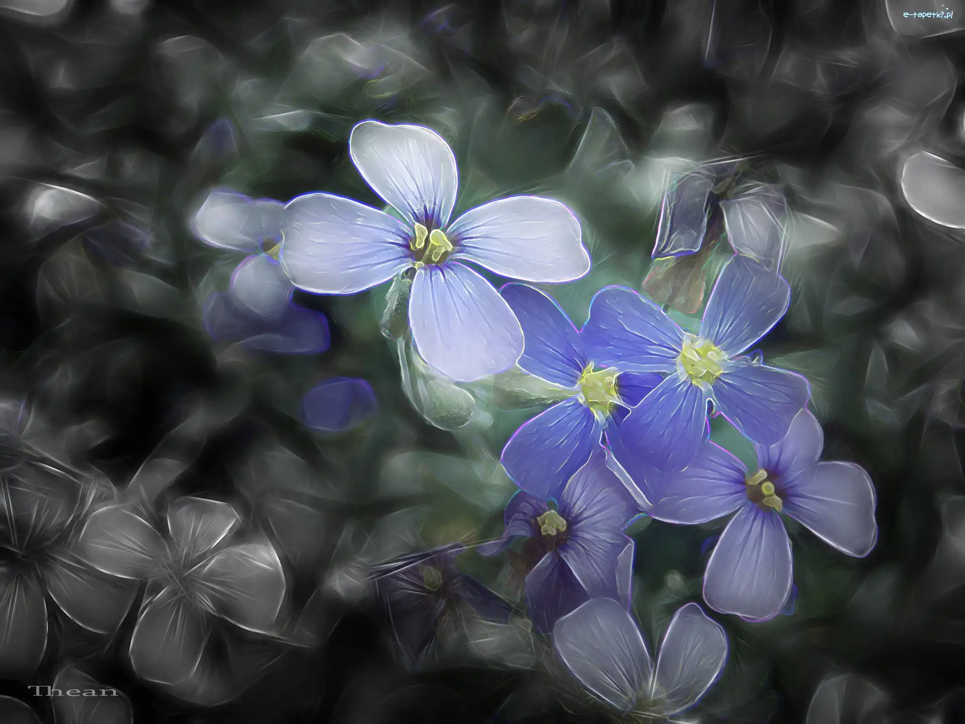 Fractalius, Polne, Kwiaty