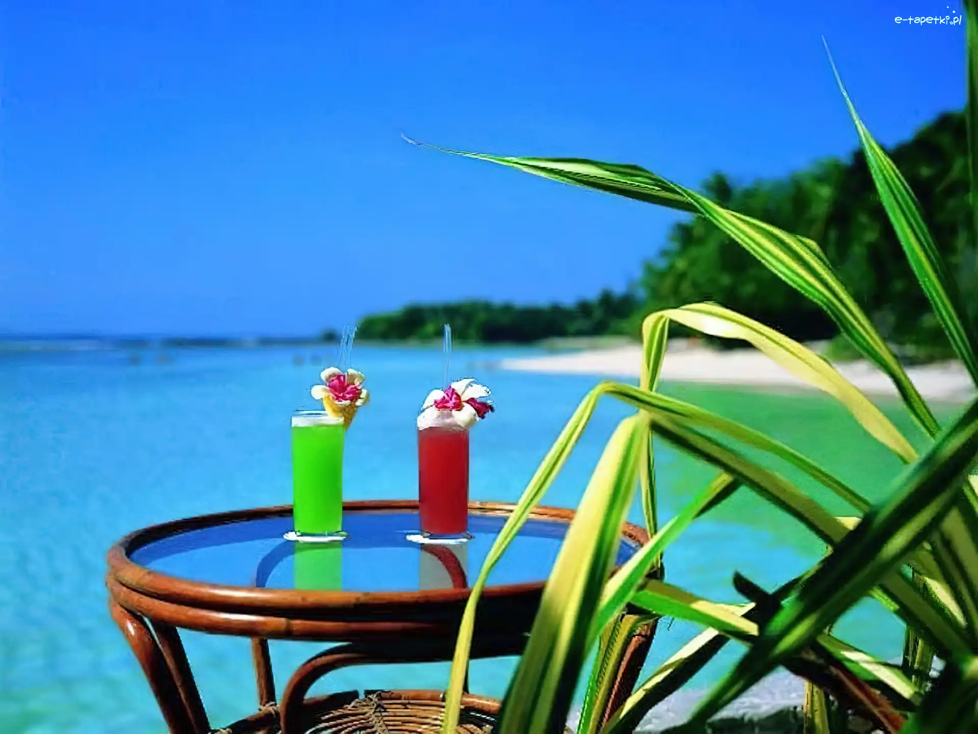 Czerwony i Zielony Drink, Morze, Plaża