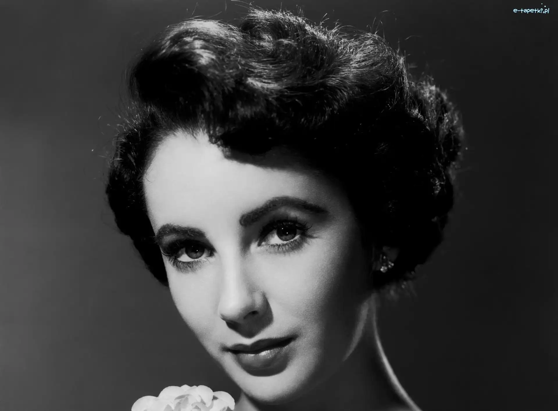 Portret, Aktorka, Piękna, Elizabeth Taylor