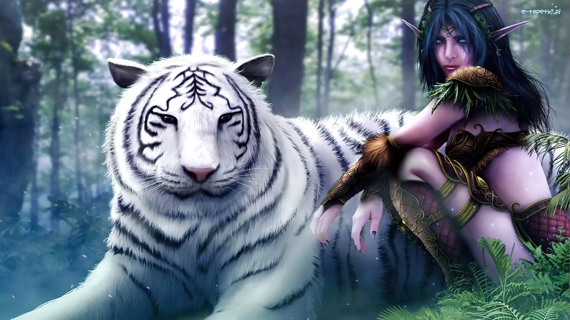 Tygrys, Biały, World Of Warcraft