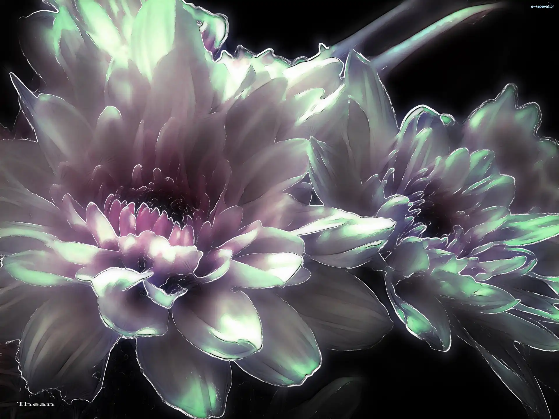 Fractalius, Kwiaty