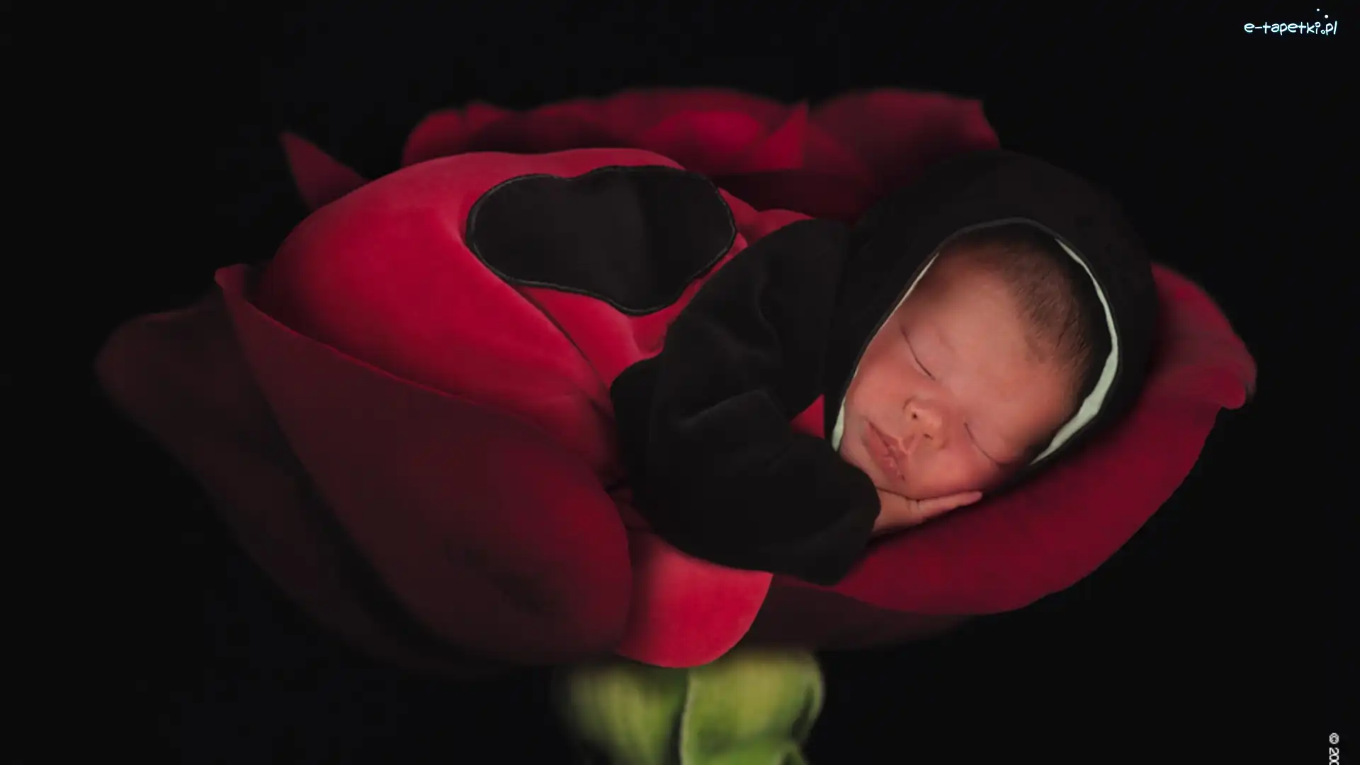 Niemowlę, Anne Geddes, Biedronka, Śpiące