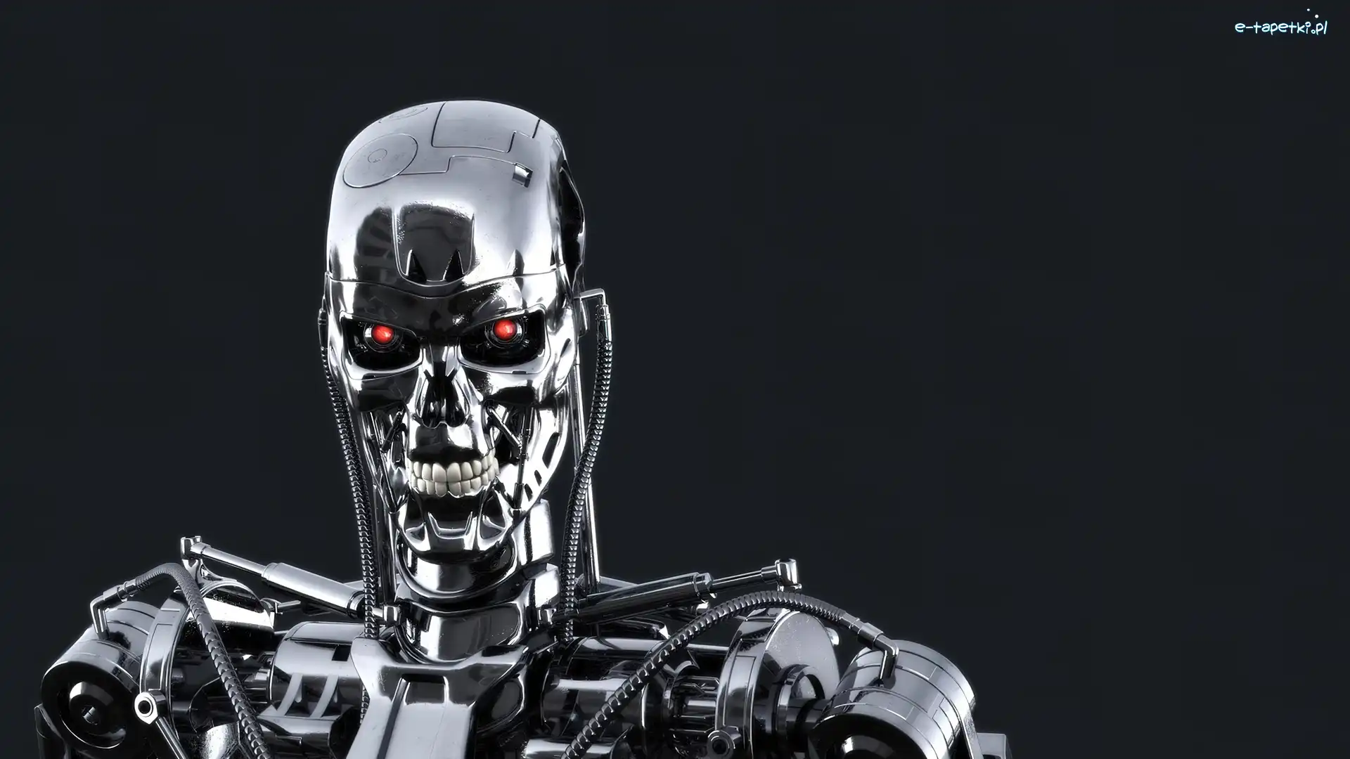 Terminator, Cyborg