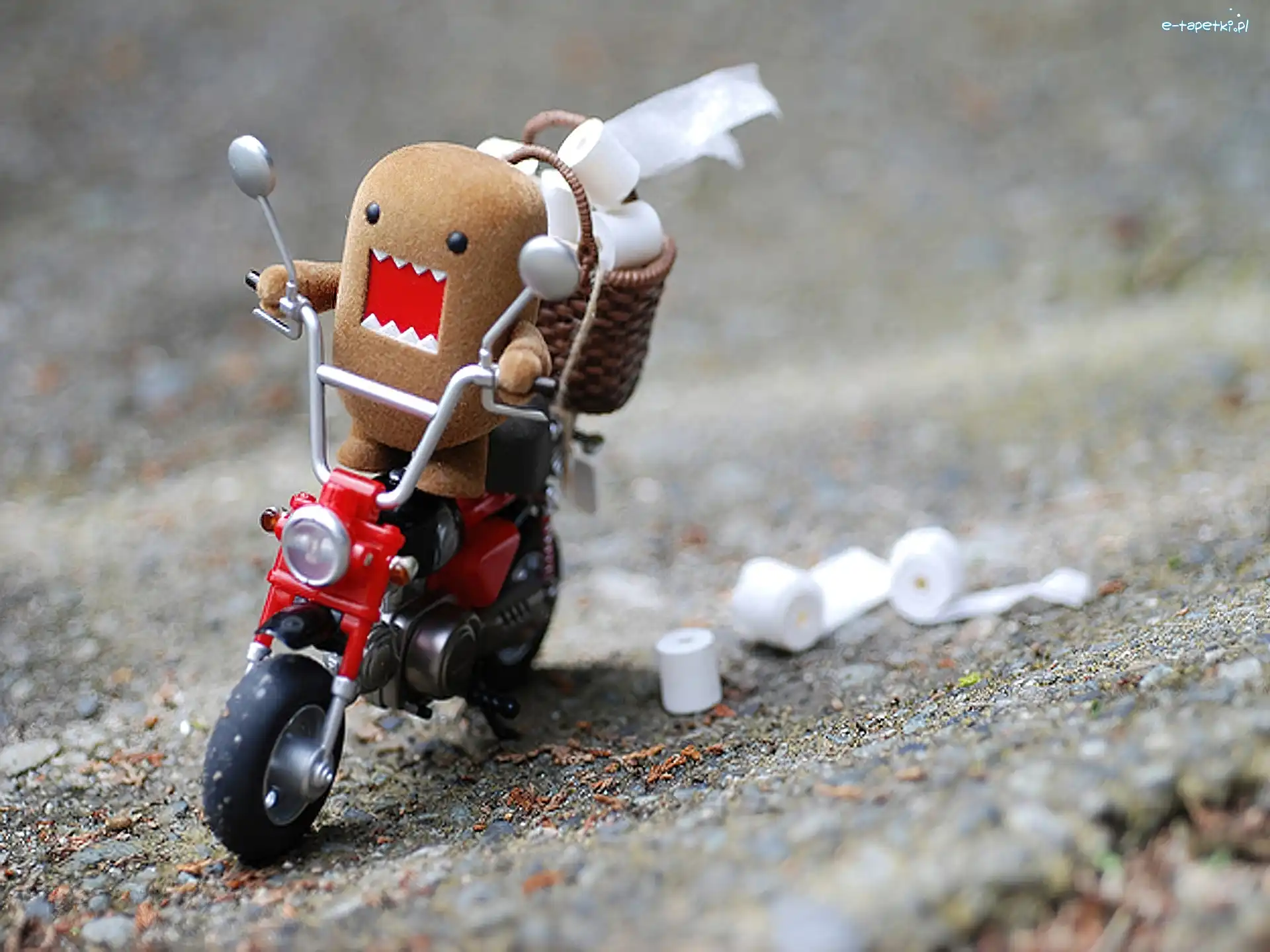 Motocykl, Toaletowy, Papier, Ludek