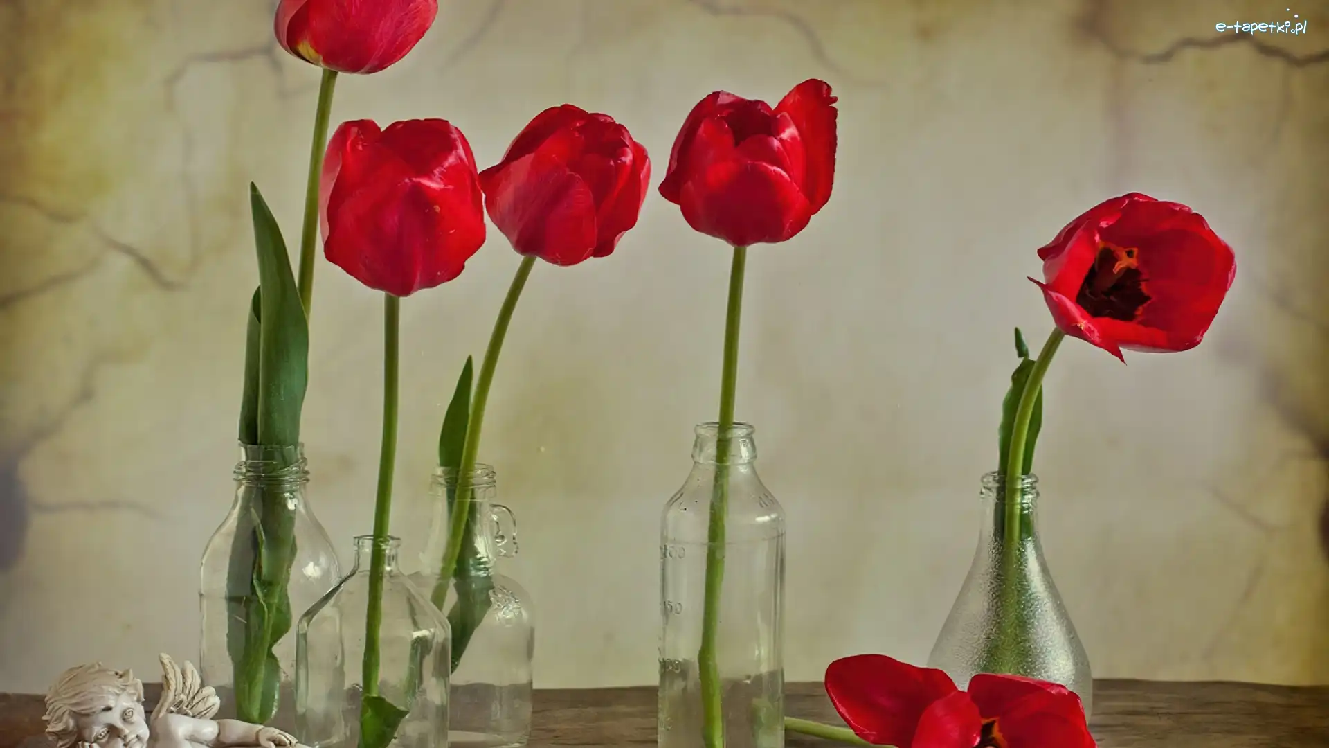 Tulipany, Aniołek, Butelki, Czerwone