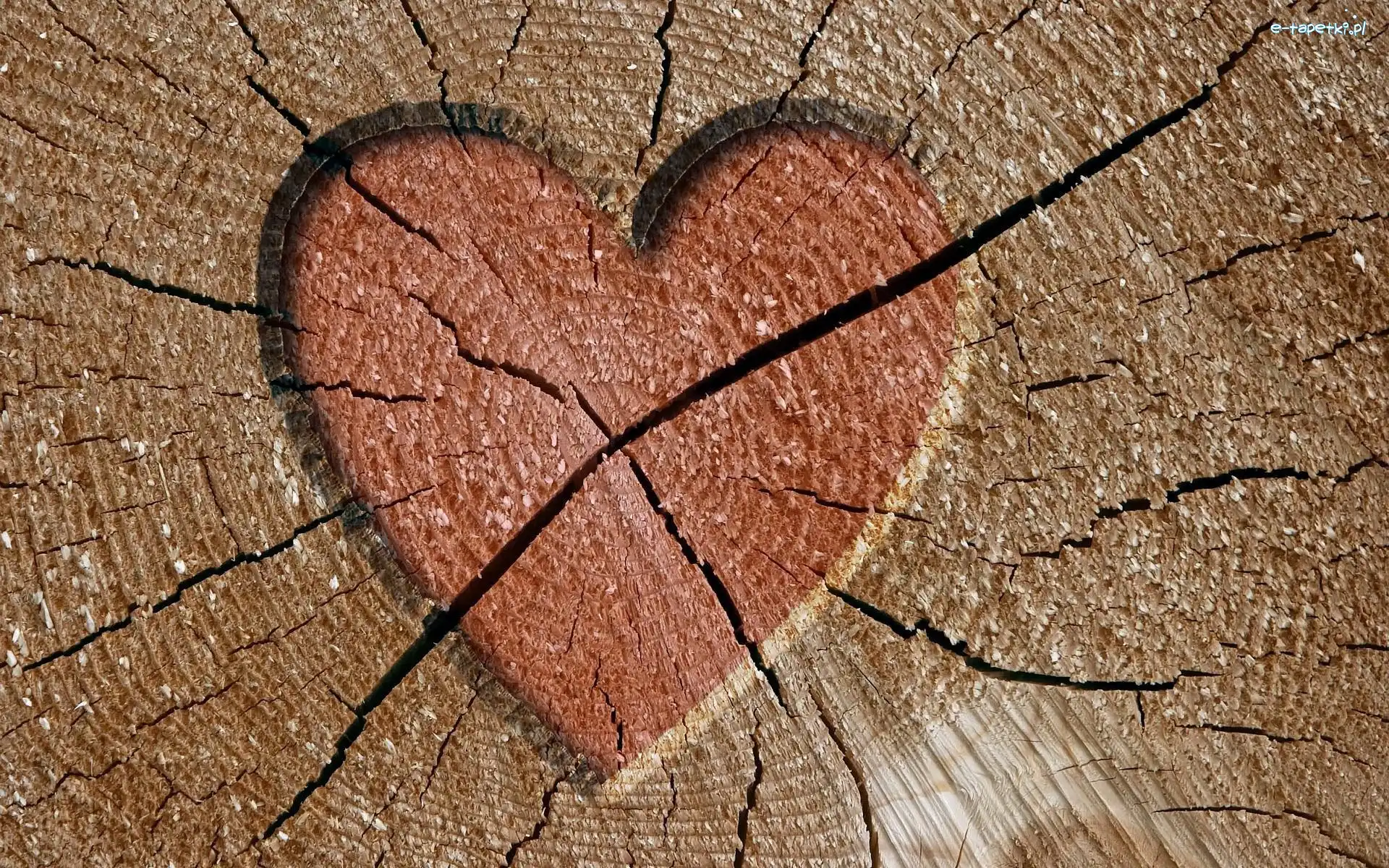 Drzewa, Serce, Wyryte, Pień
