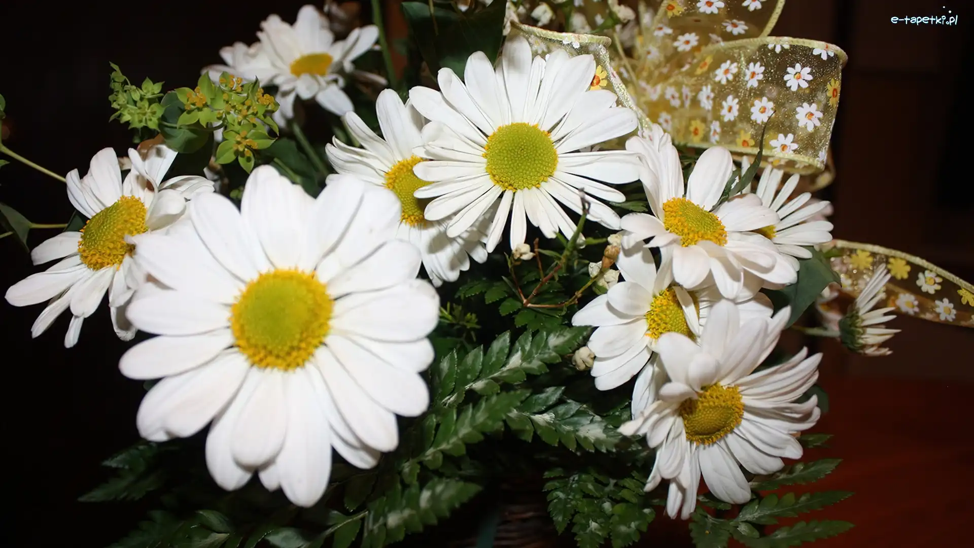 Wstążka, Margerytki, Białe