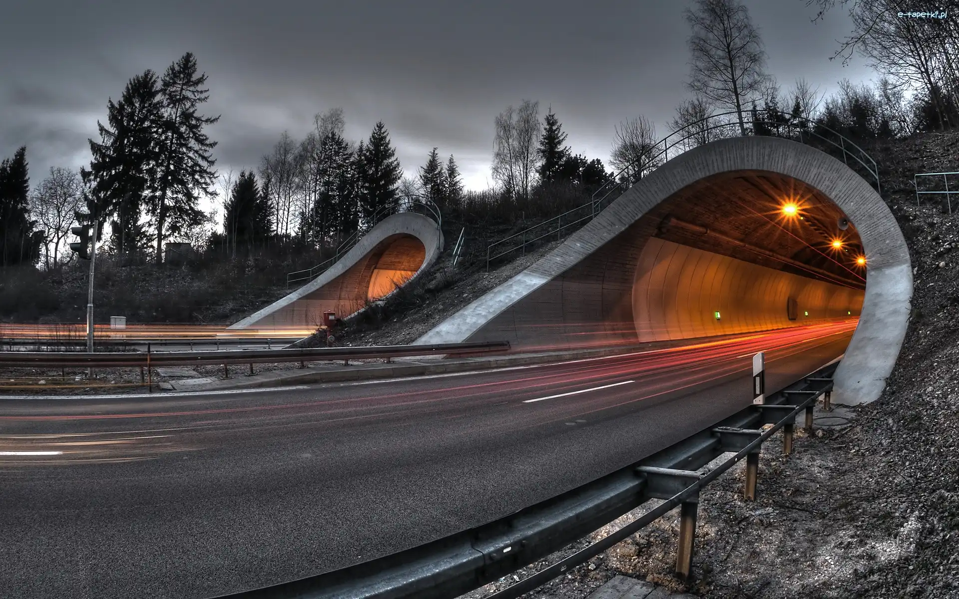 Drzewa, Tunel, Droga