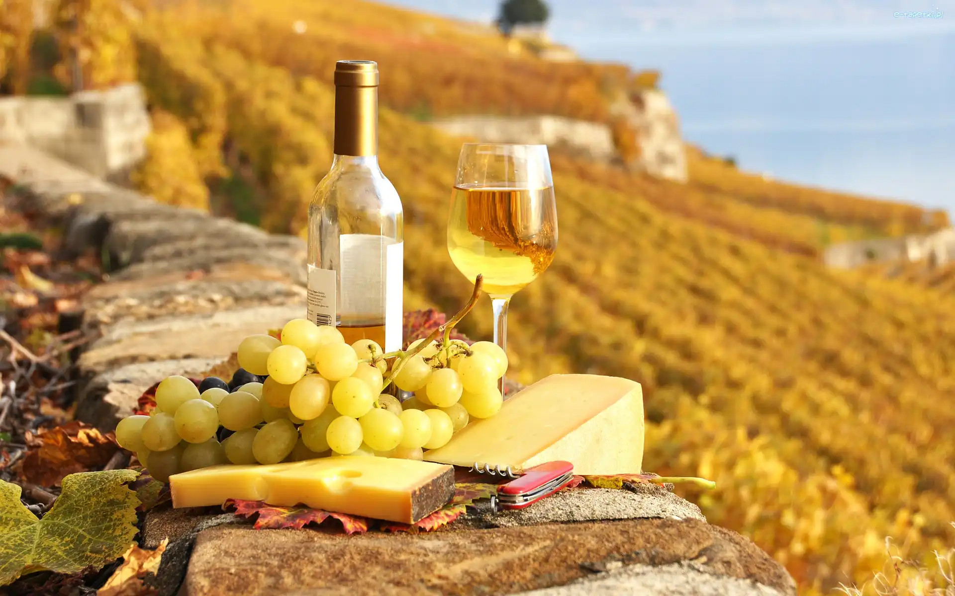 Winogrona, Żółty, Ser, Wino, Scyzoryk
