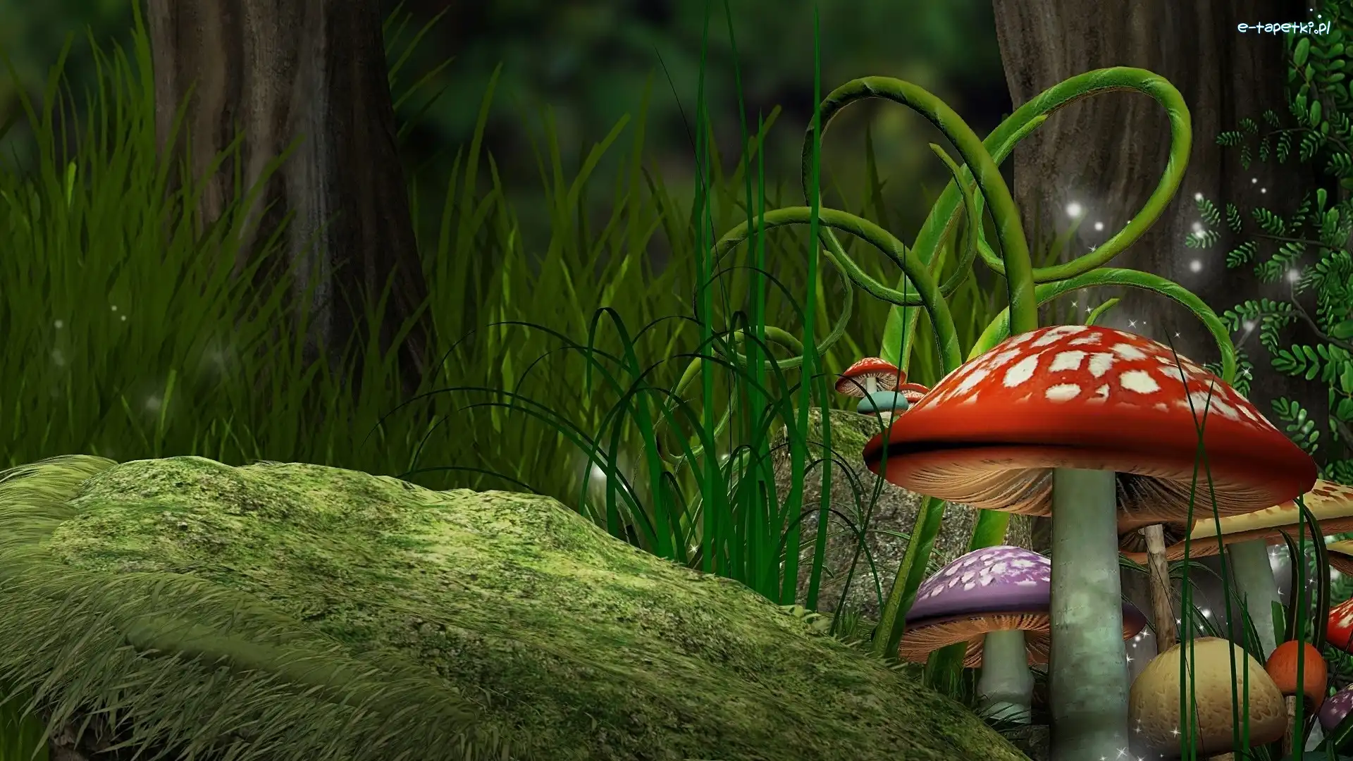 Fantasy, Muchomorki