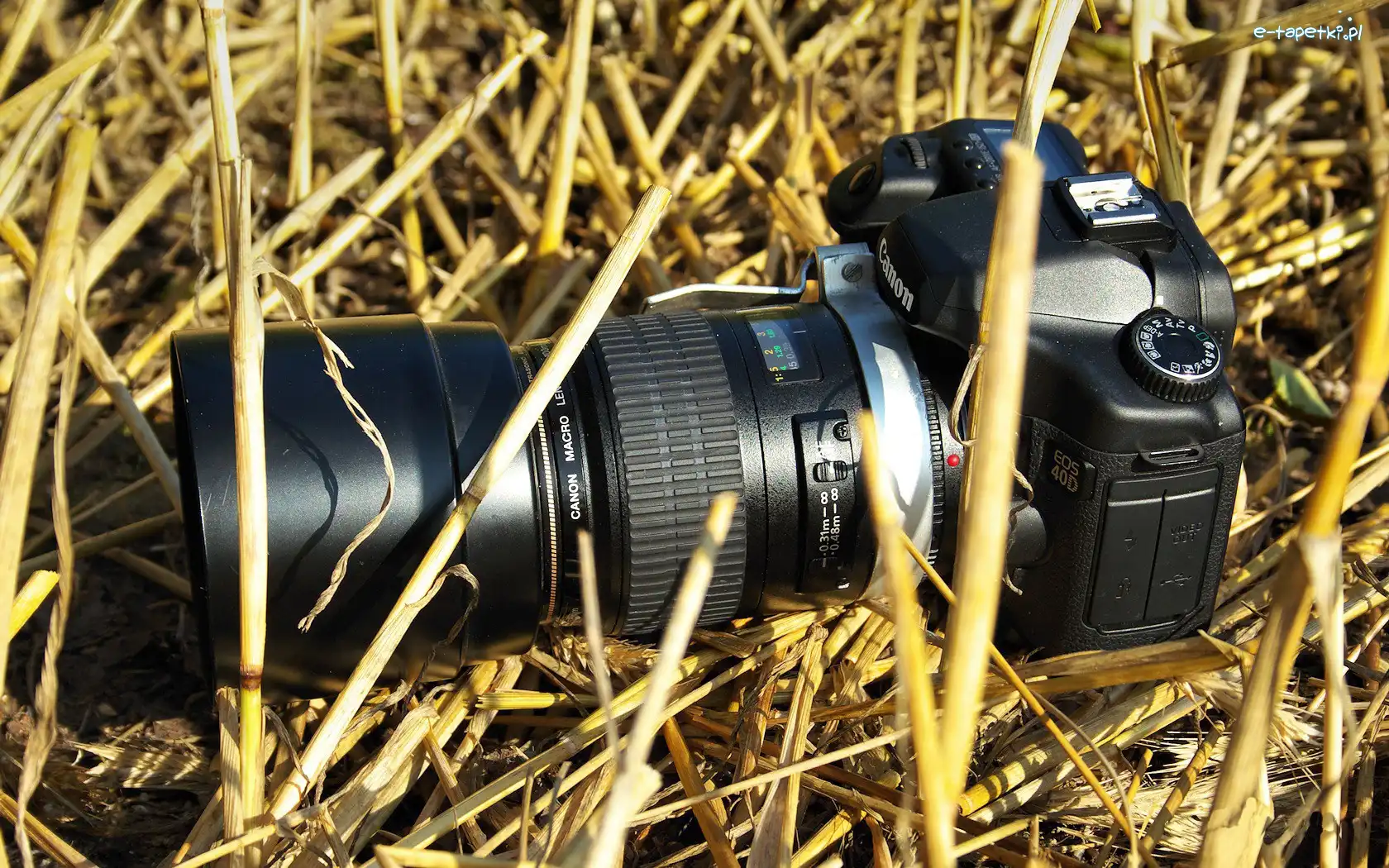 Canon, Trawa, Eos 40D, Aparat