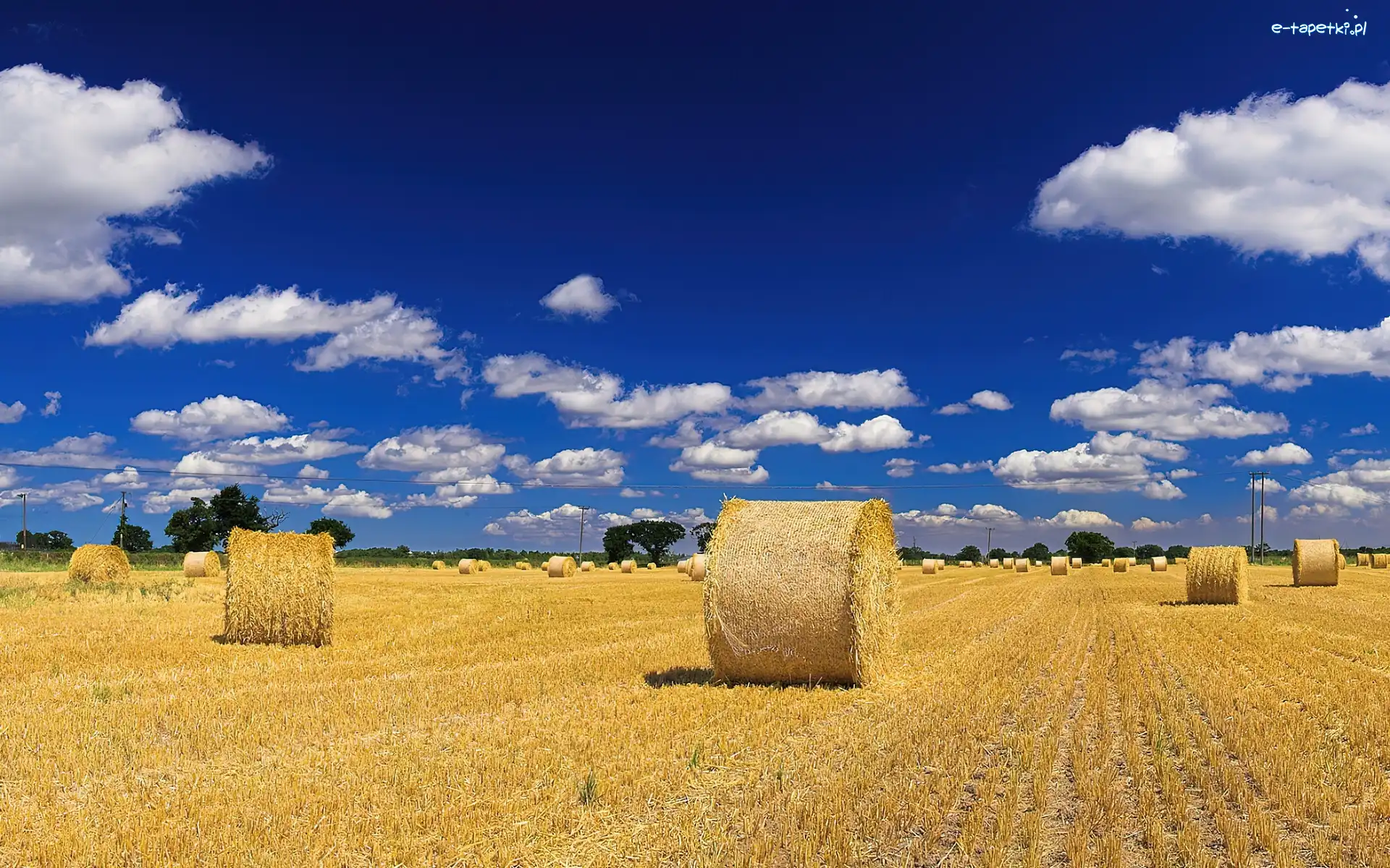 Wielkie, Słomy, Bale, Pole