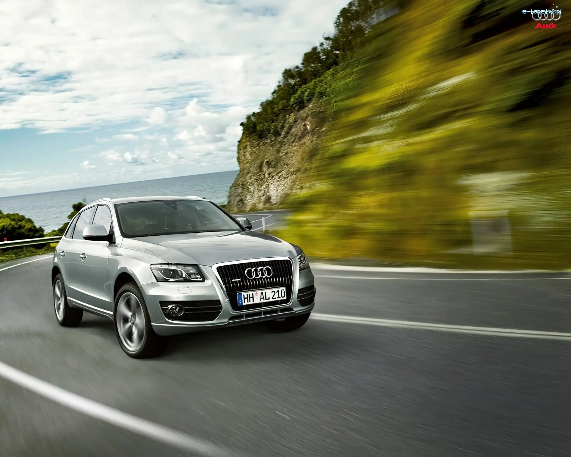 Droga, Audi Q5, Srebrne