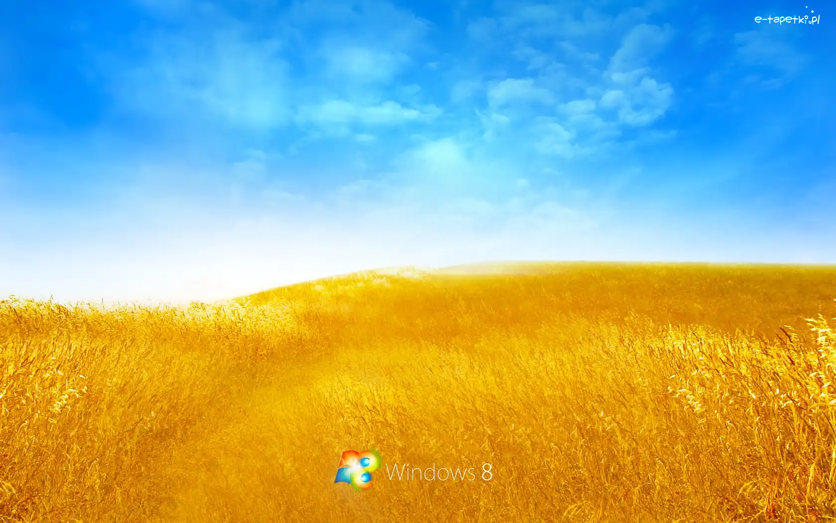 Łany, Niebo, Zboża, Logo, Windows 8