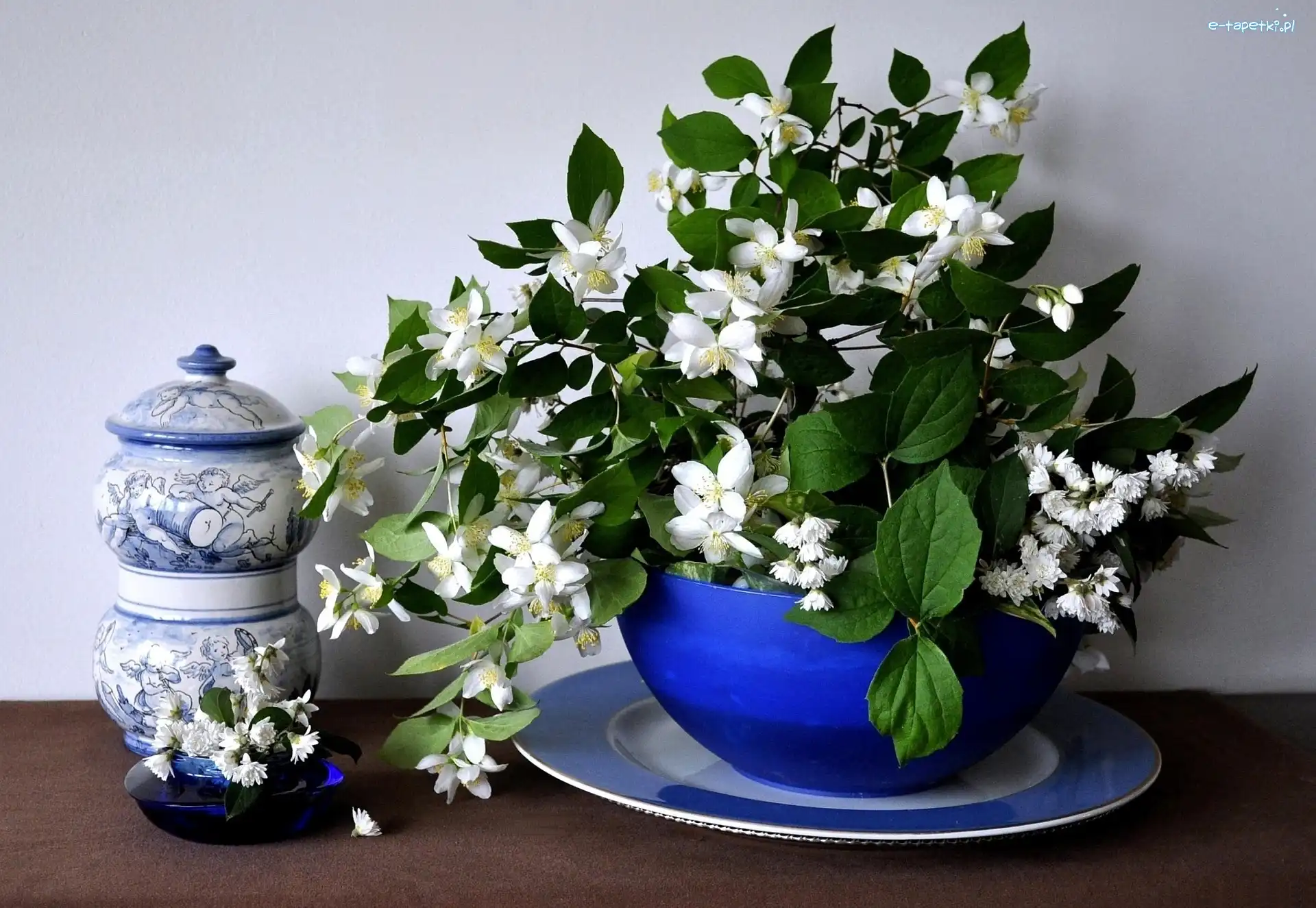 Porcelana, Jaśminu, Gałązki