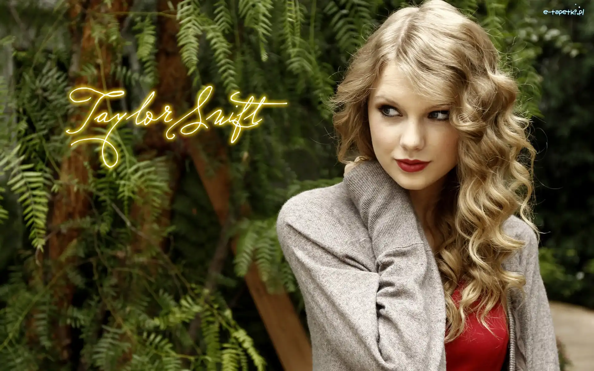 Wokalista, Taylor Swift