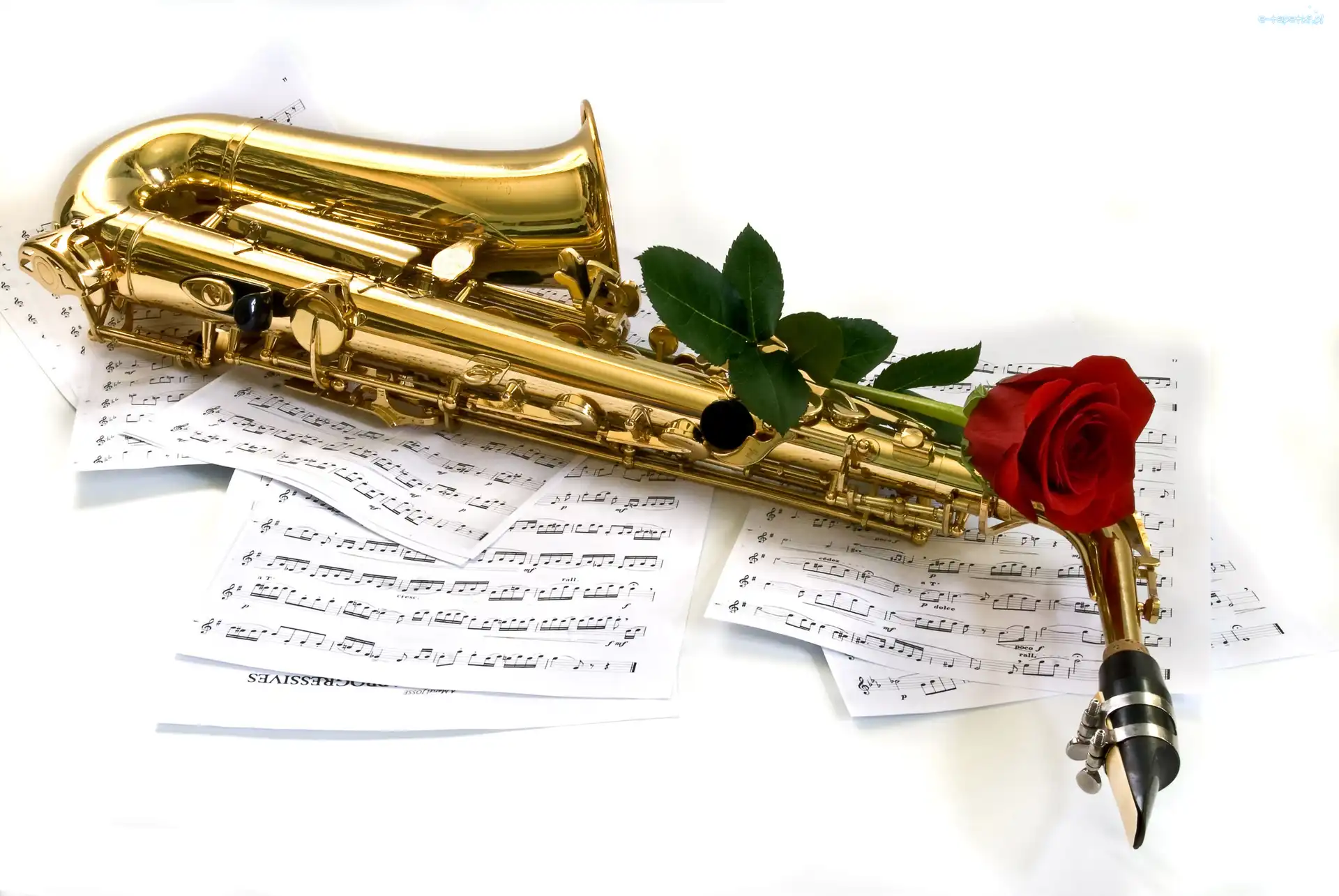 Instrument, Saksofon, Muzyczny, Róża, Nuty