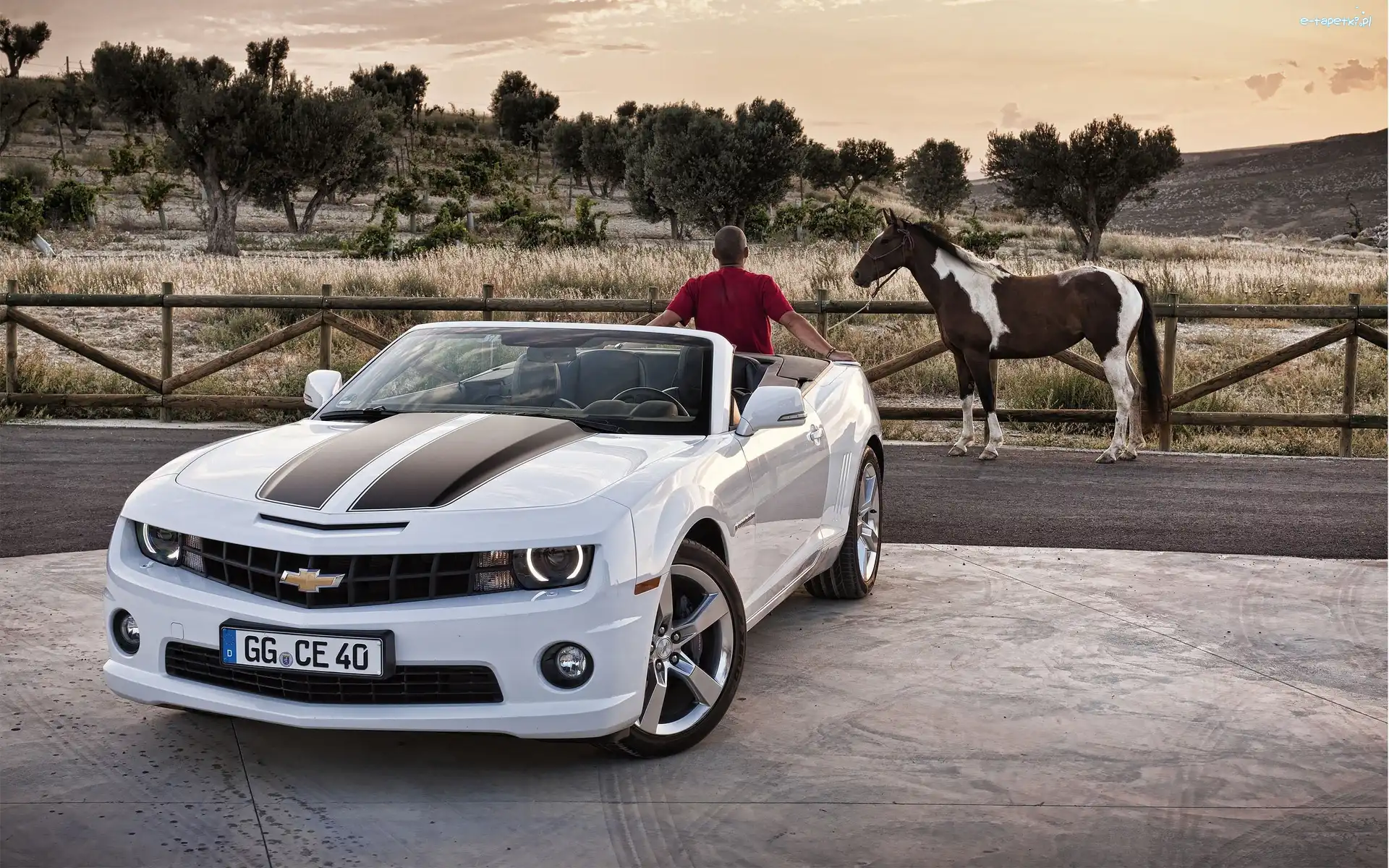 Koń, Mężczyzna, Chevrolet