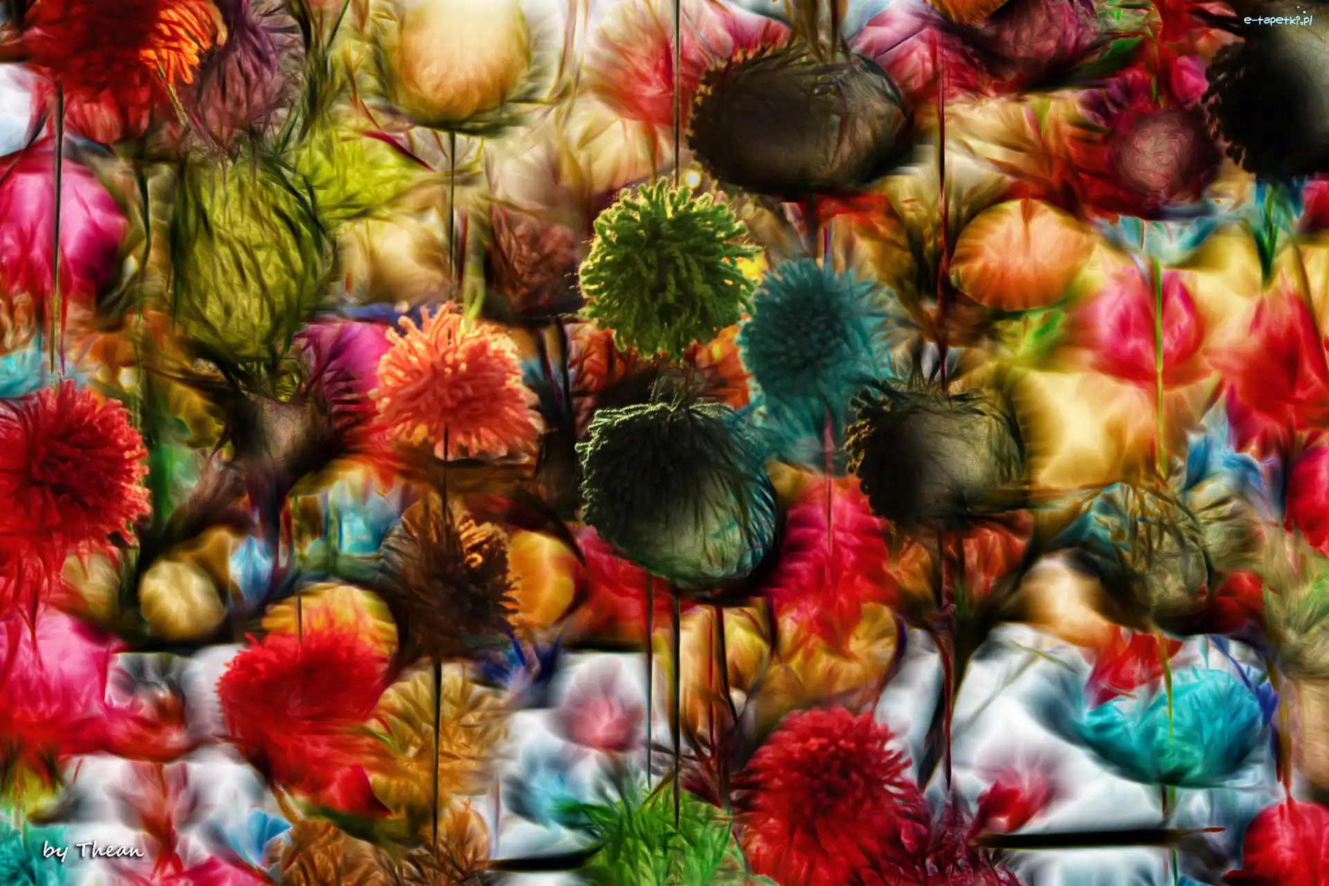 Fractalius, Pompony, Kolorowe