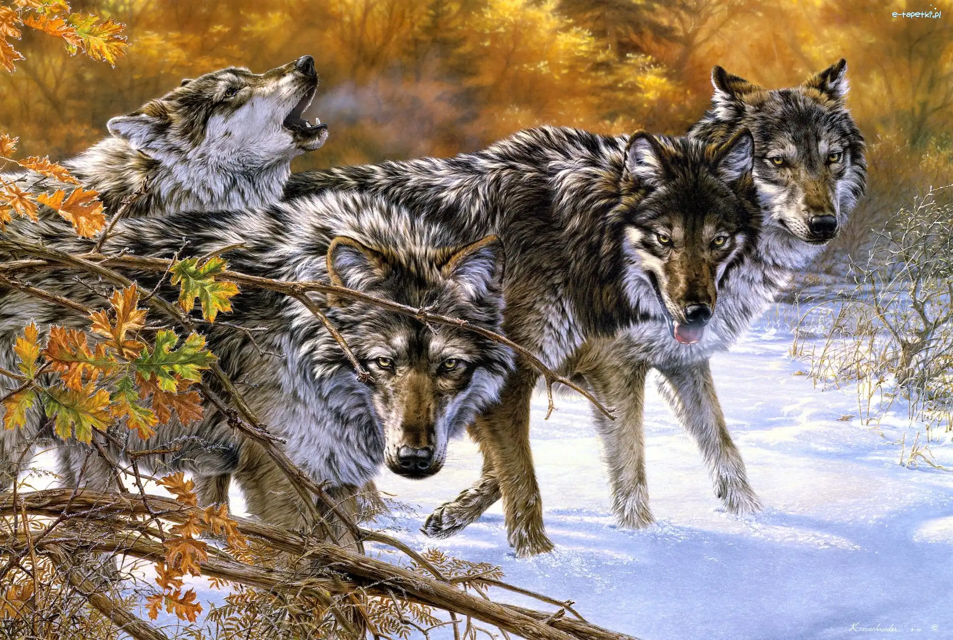 Wilki, Las, Zima